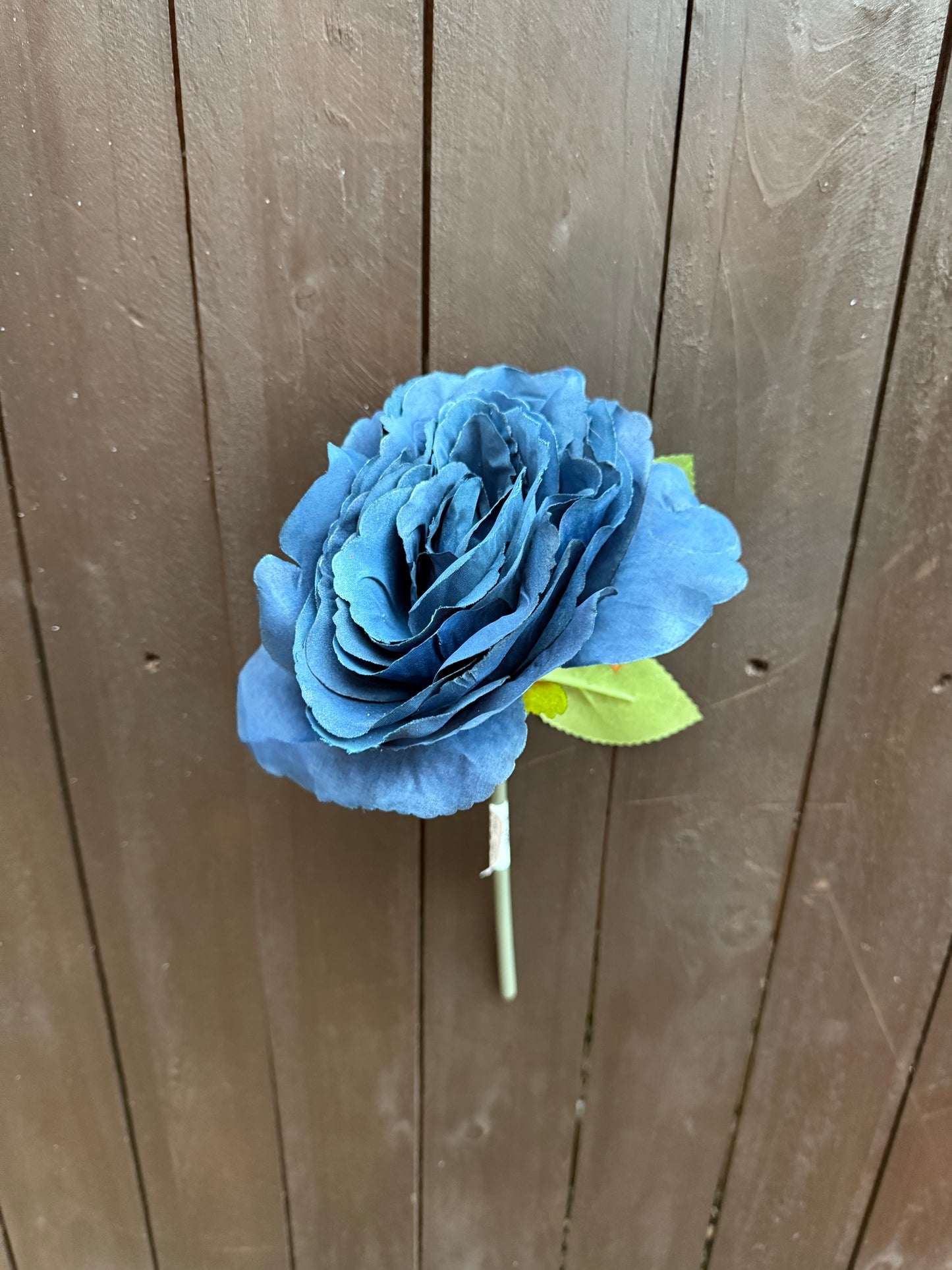 18cm TUDOR ROSE MIDNIGHT BLUE
