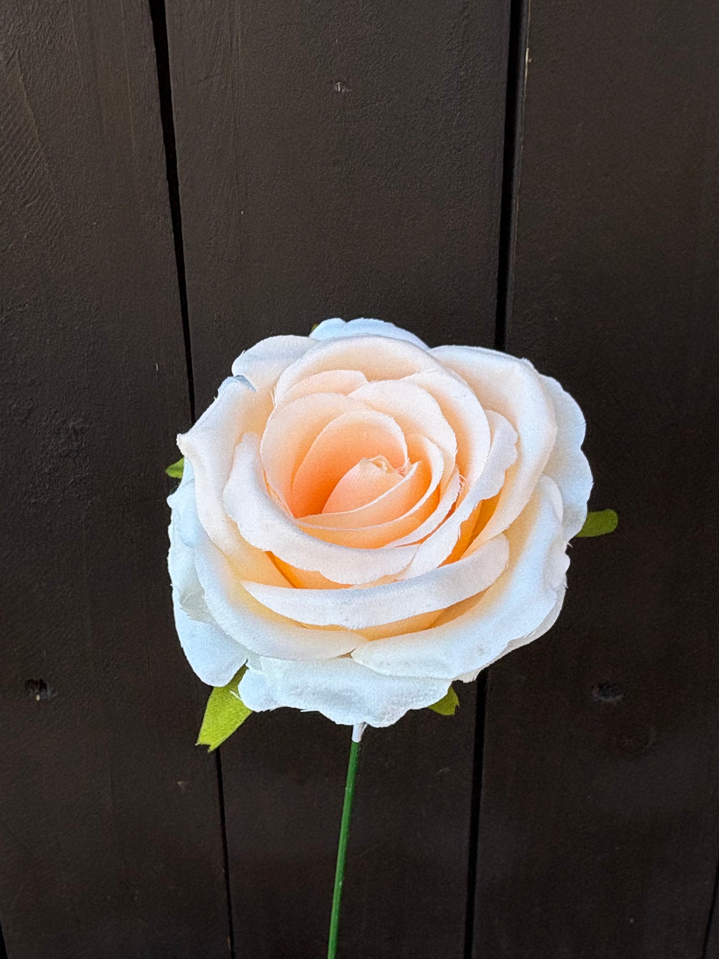 27cm SINGLE OPEN ROSE APRICOT