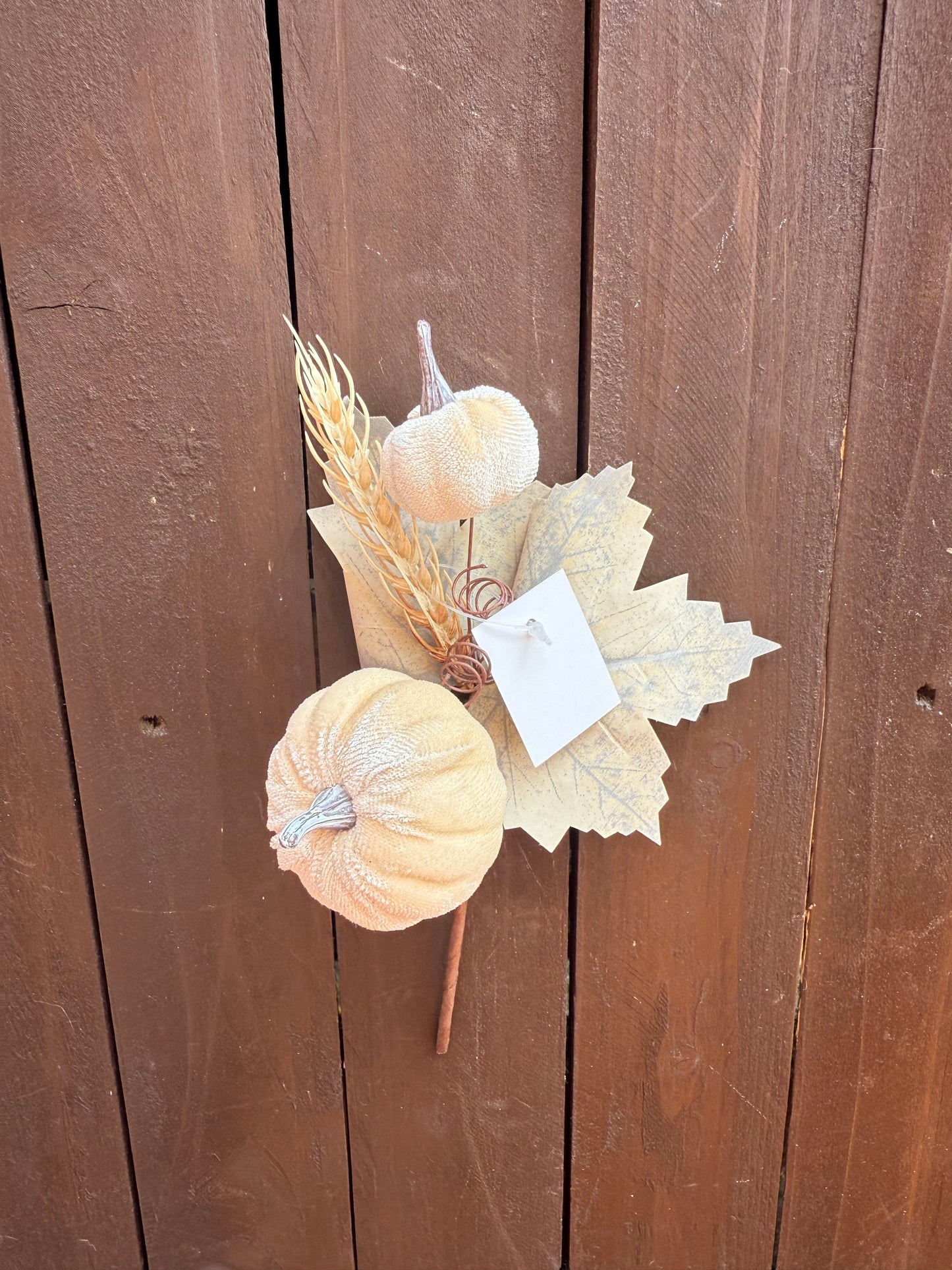 25CM DOUBLE PUMPKIN FOLIAGE PICK IVORY