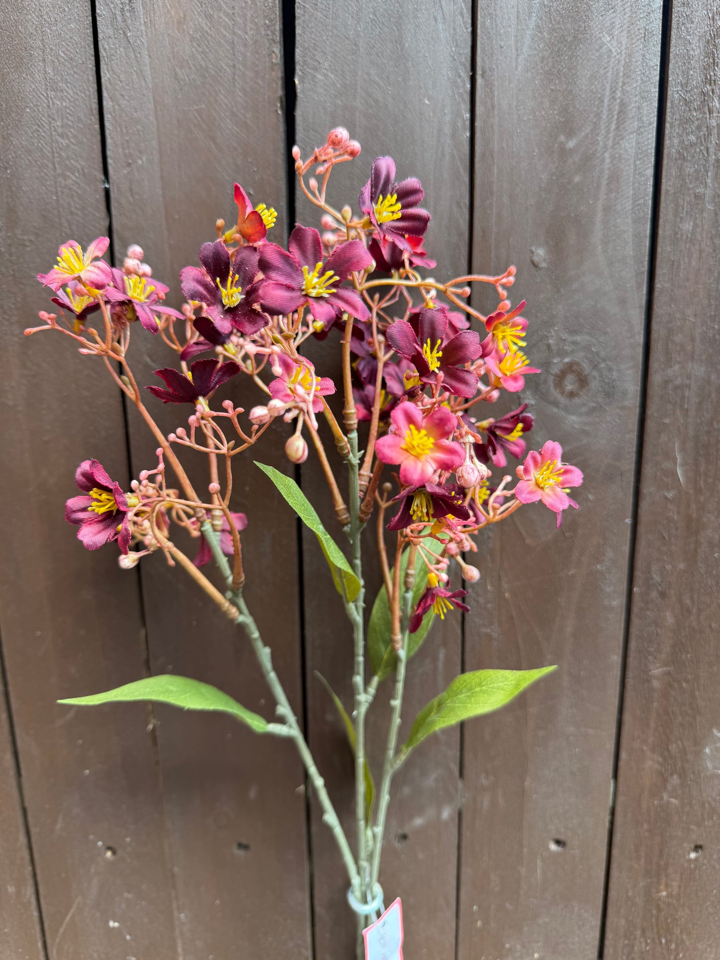 72CM DAPHNE SPRAY DRY COLOUR BURGUNDY