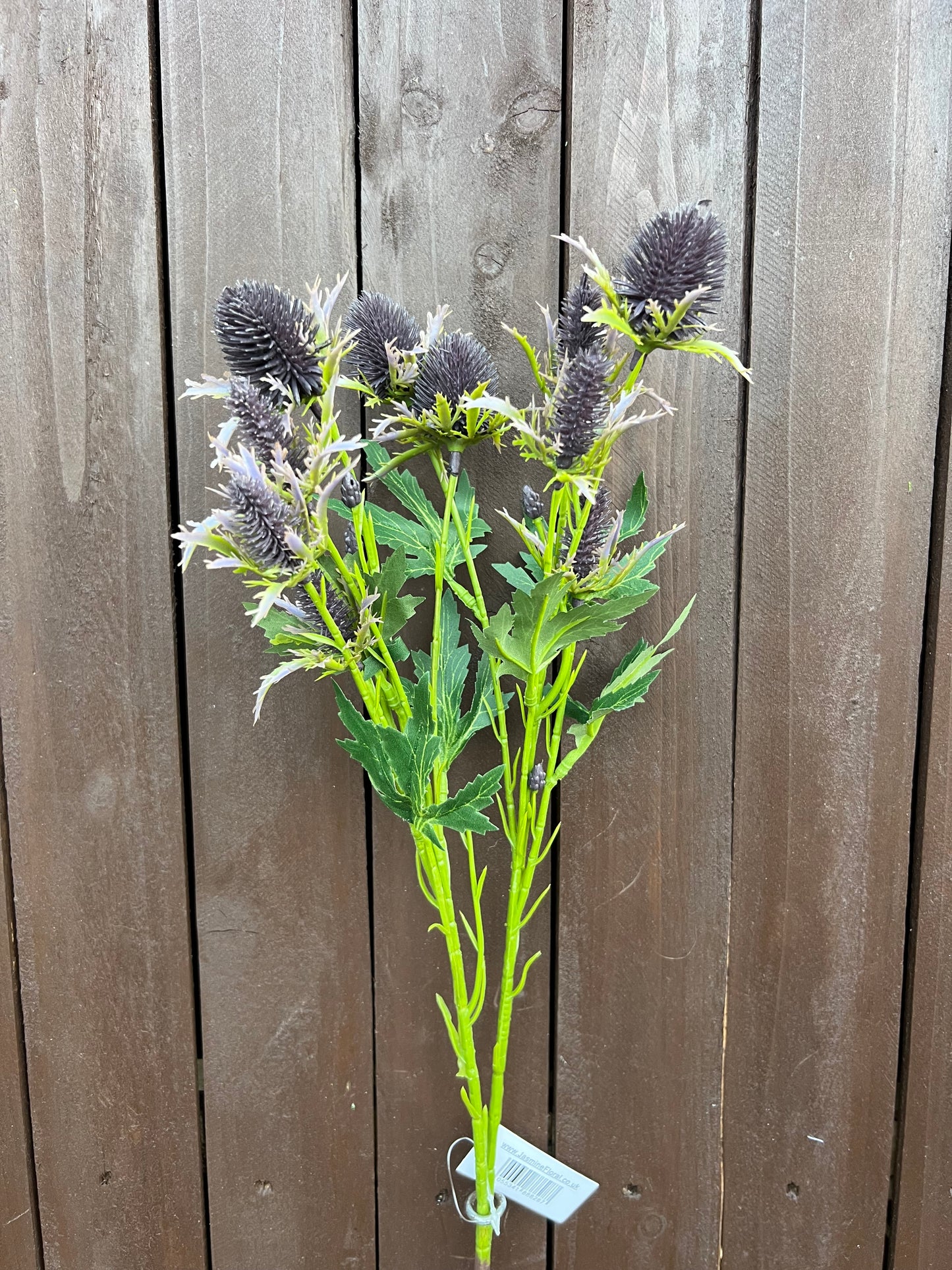 68cm SEA HOLLY PURPLE