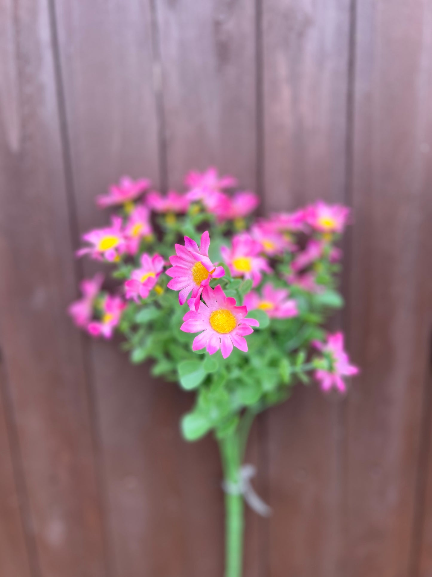 SUMMER DAISY BUNCH PINK