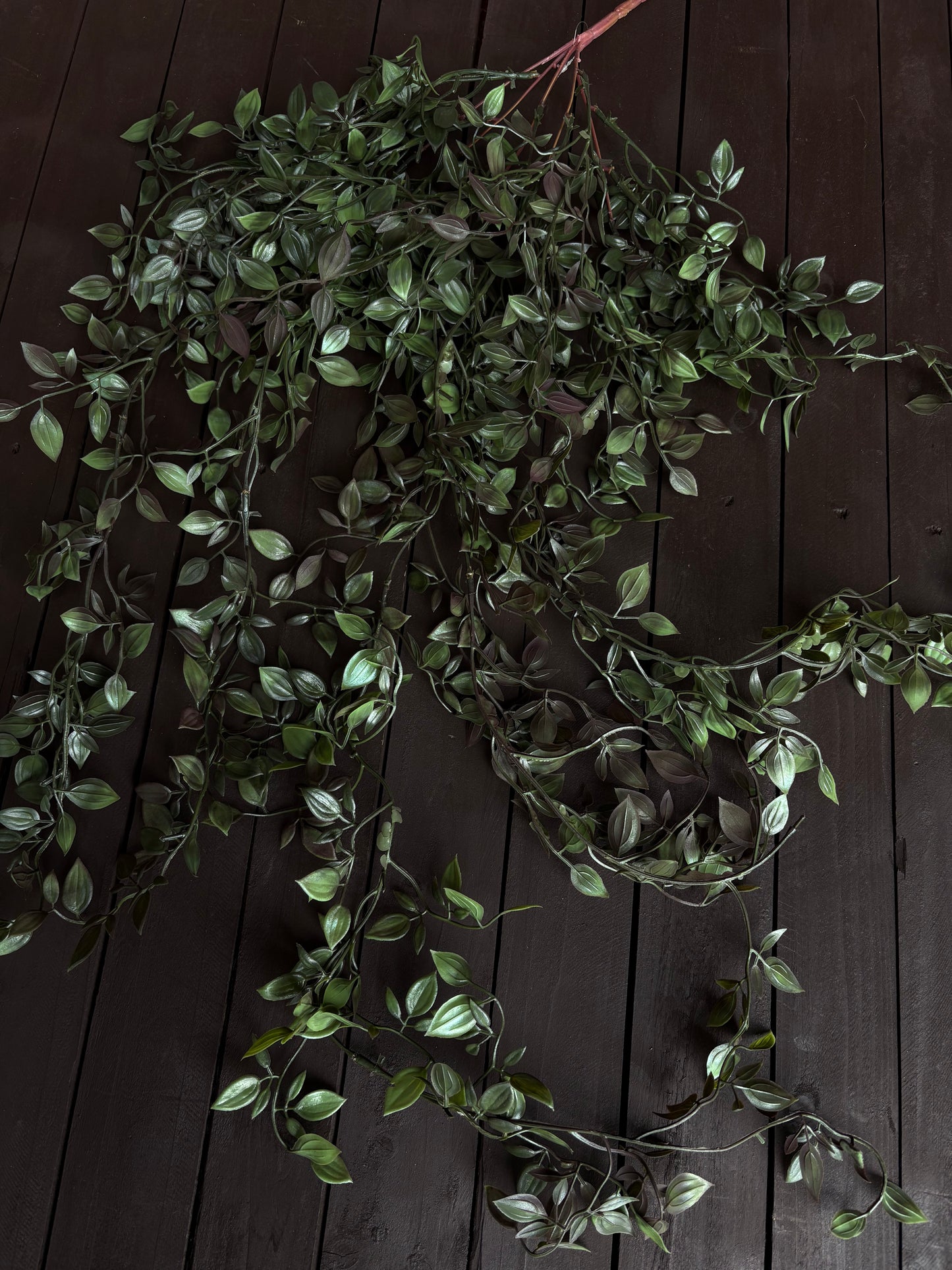 115cm LARGE TRAILING RUSCUS DARK GREEN