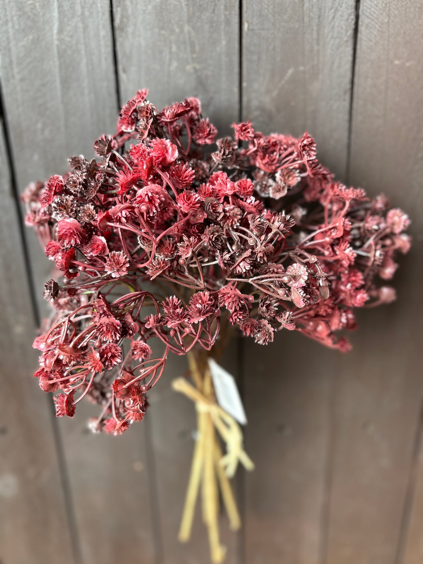 DRIED LOOK GYP BUNCH DEEP RED