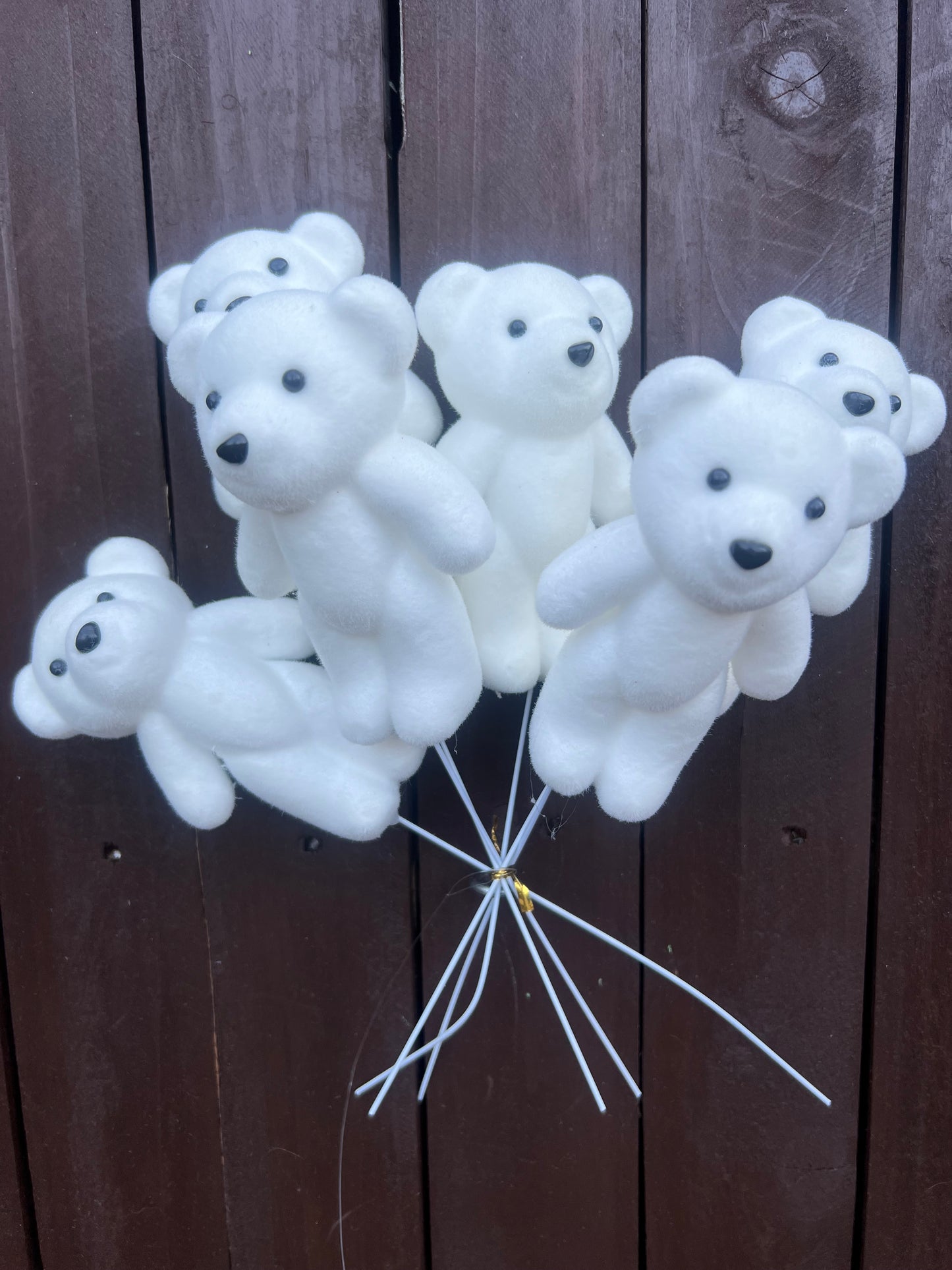 TEDDY BEAR PICKS PK6