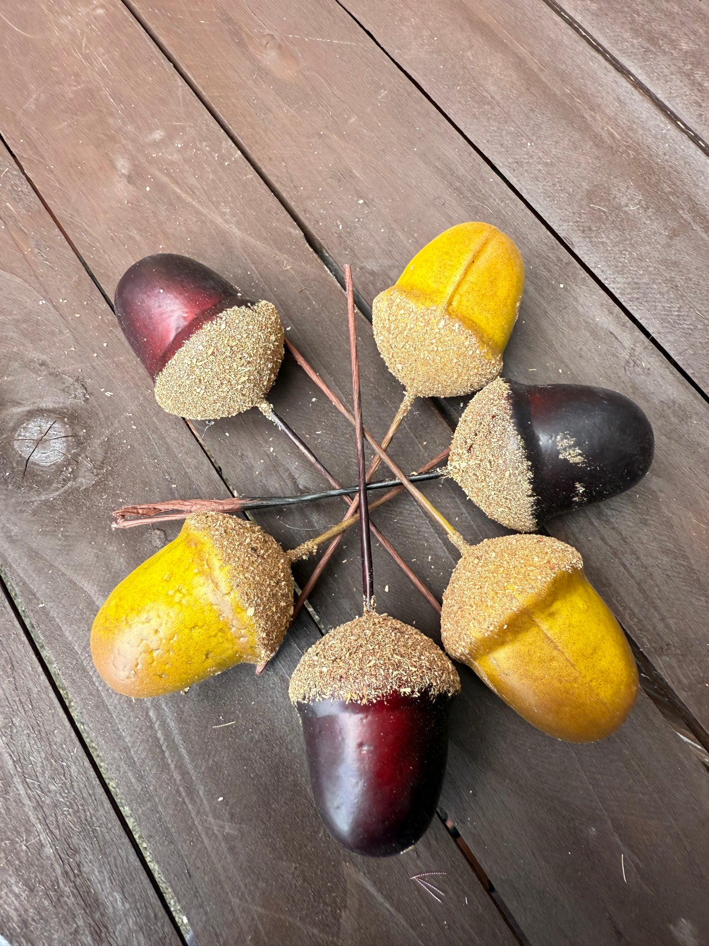 PACK 6 MIX ACORNS