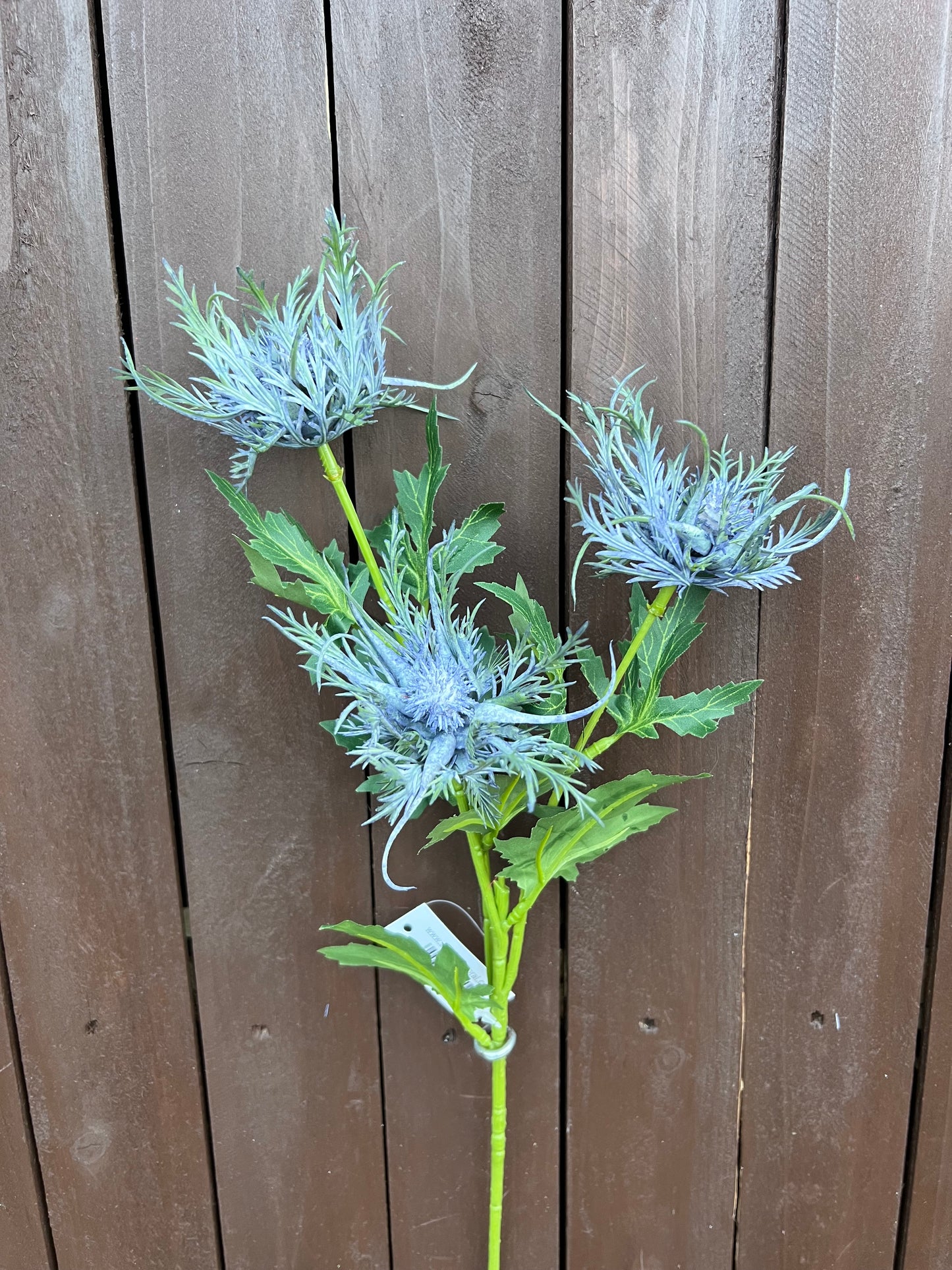 67cm SPIDER THISTLE SPRAY BLUE
