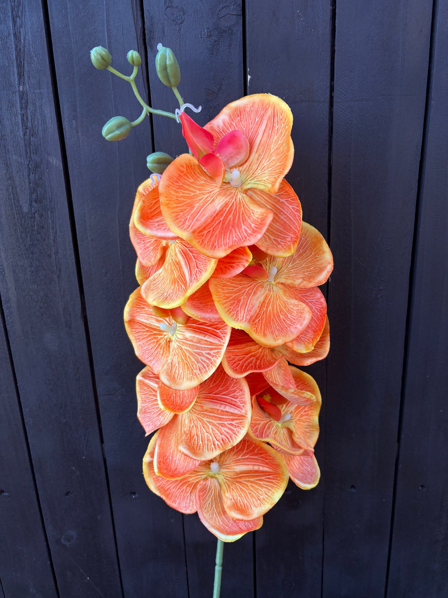 105cm PHALAENOPSIS ORCHID SPRAY ORANGE