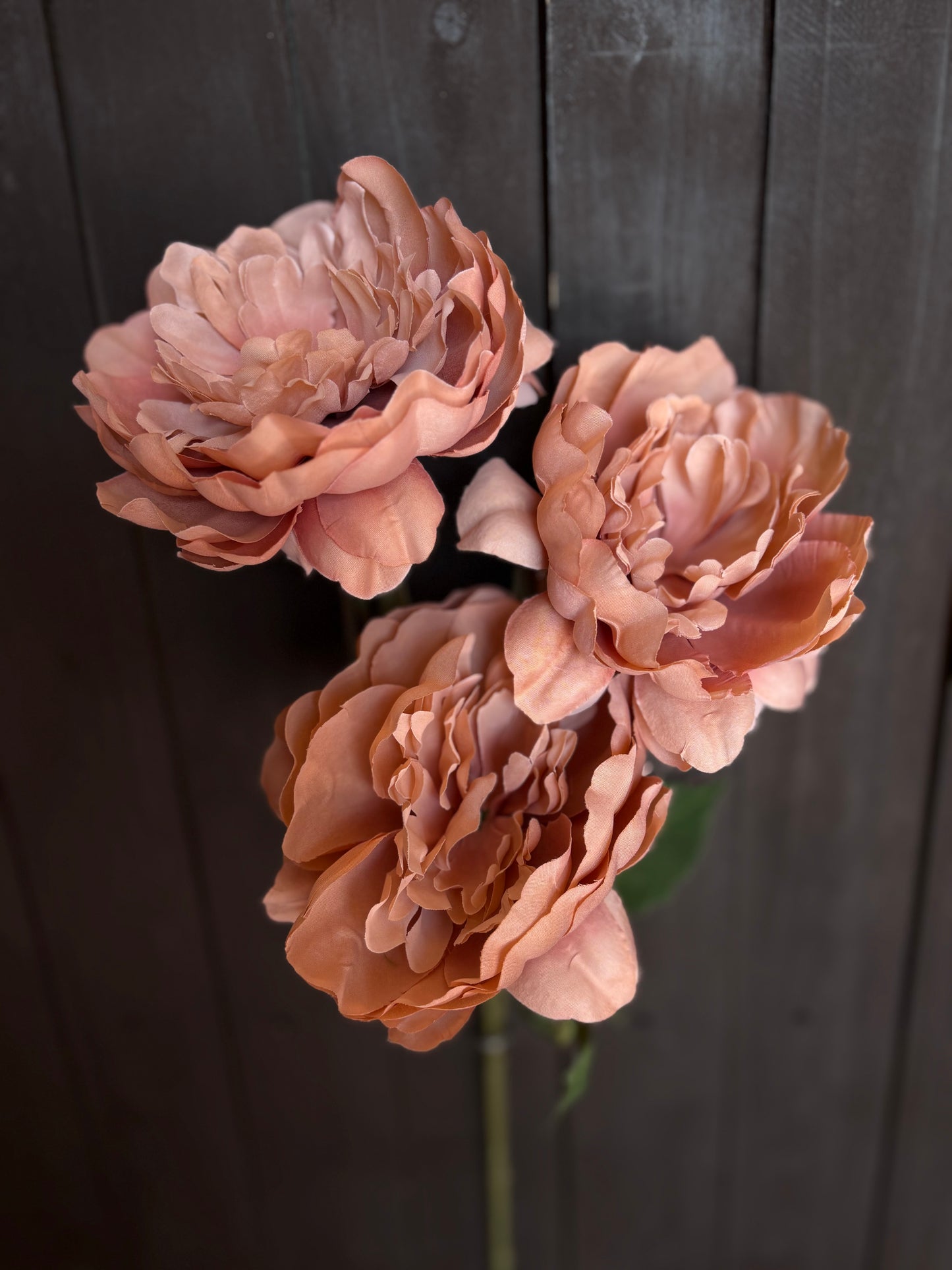 TRIPLE LARGE PEONY STEM BROWN