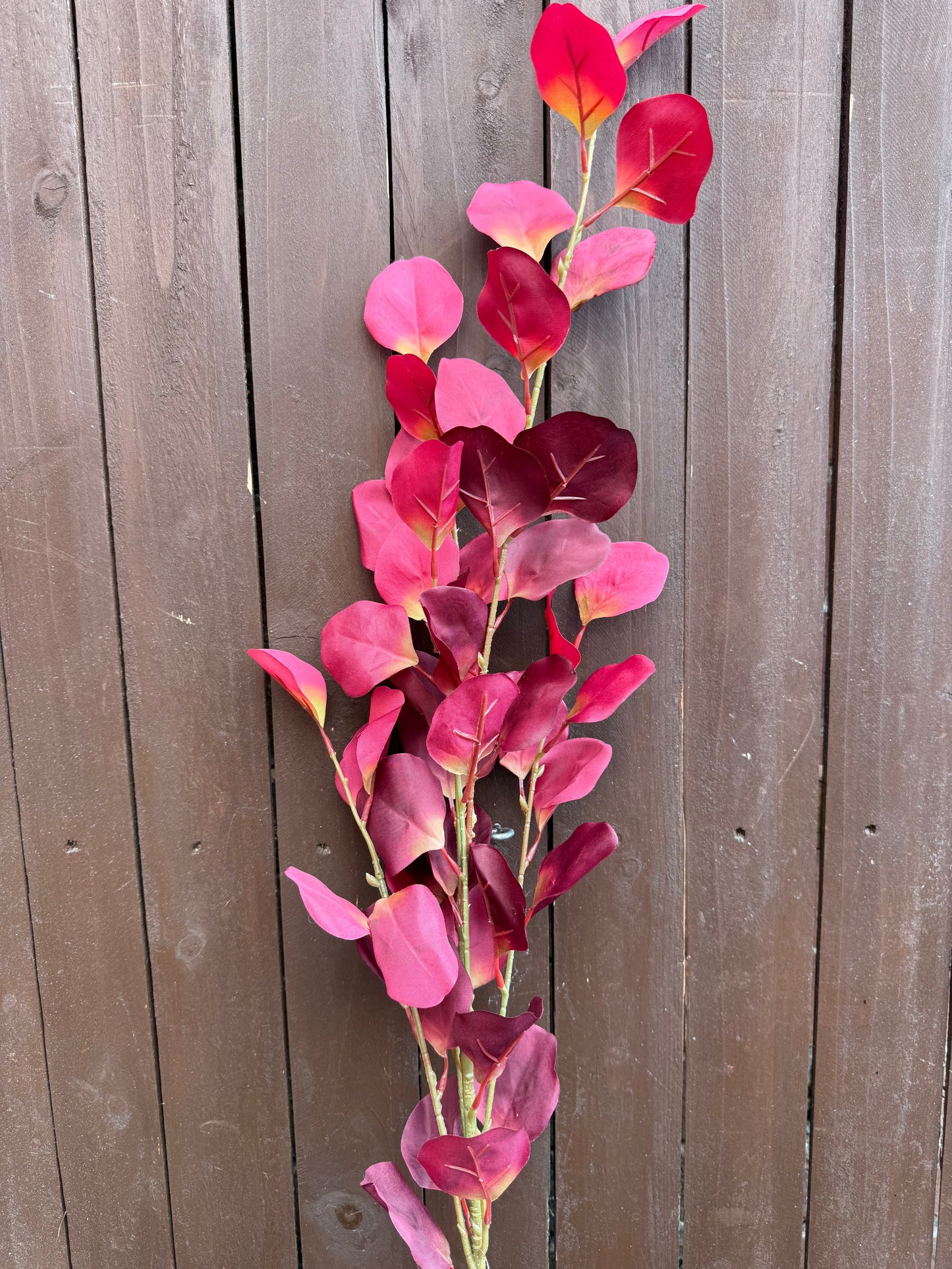 SILVER DOLLAR EUCALYPTUS SPRAY