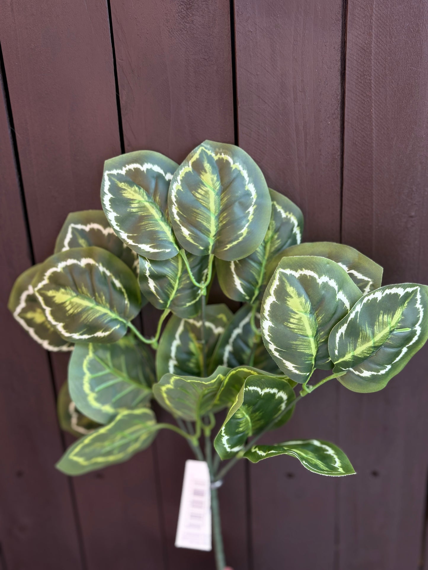 MEDIUM CALATHEA MEDALLION BUNCH WHITE/GREEN