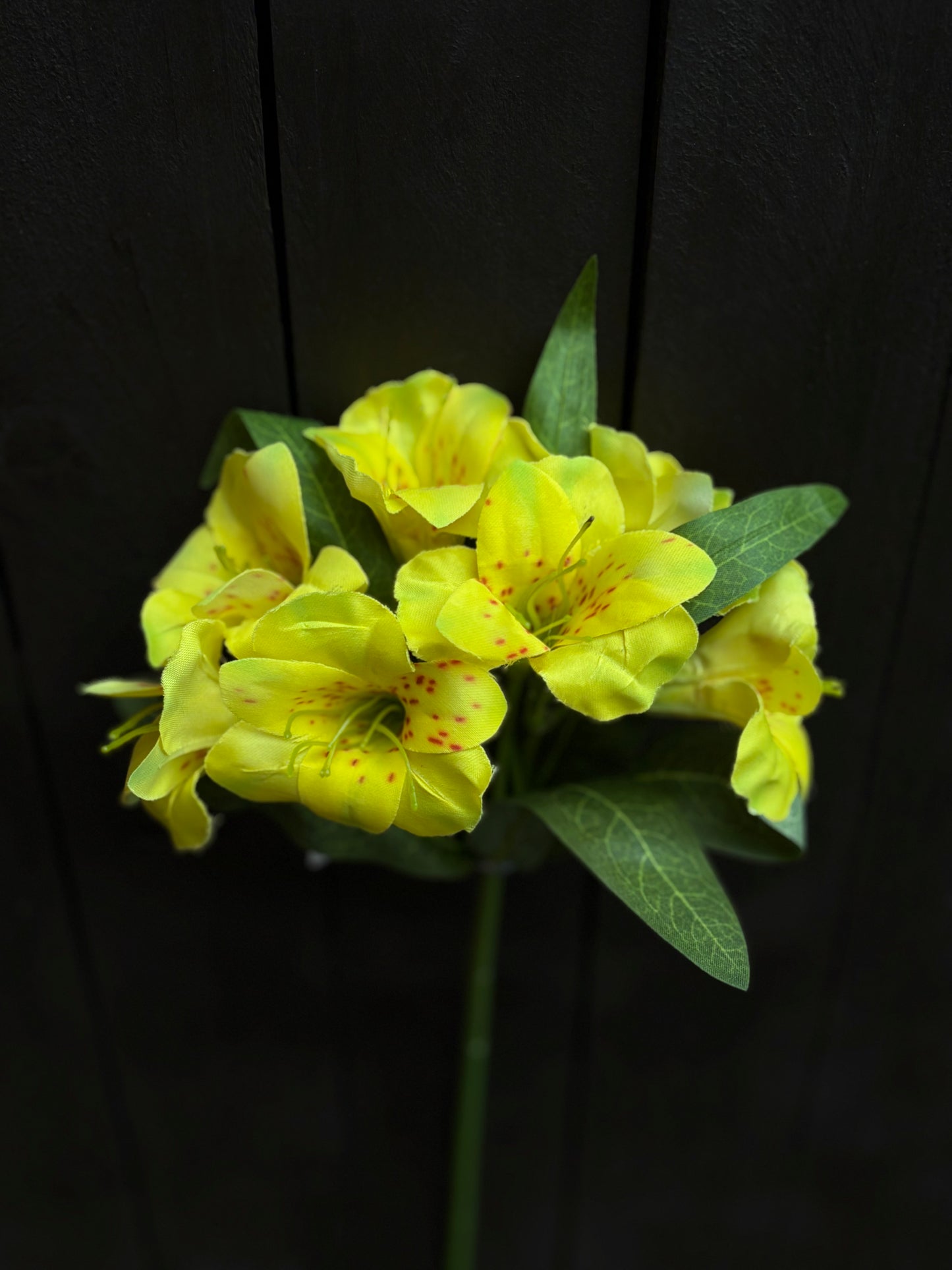 46CM ALSTROEMERIA SPRAY YELLOW