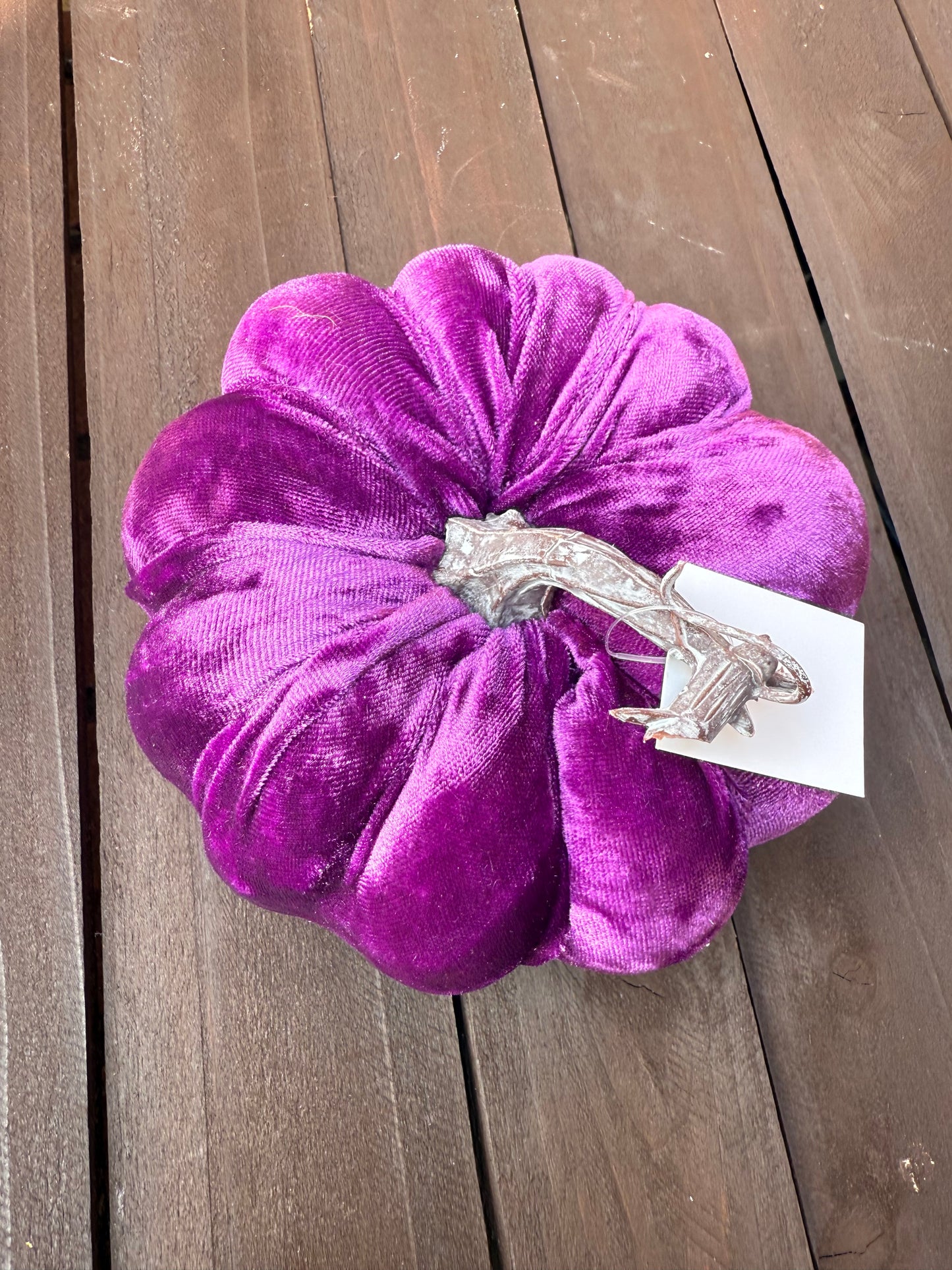 14CM MEDIUM SINGLE VELVET PUMPKIN PURPLE