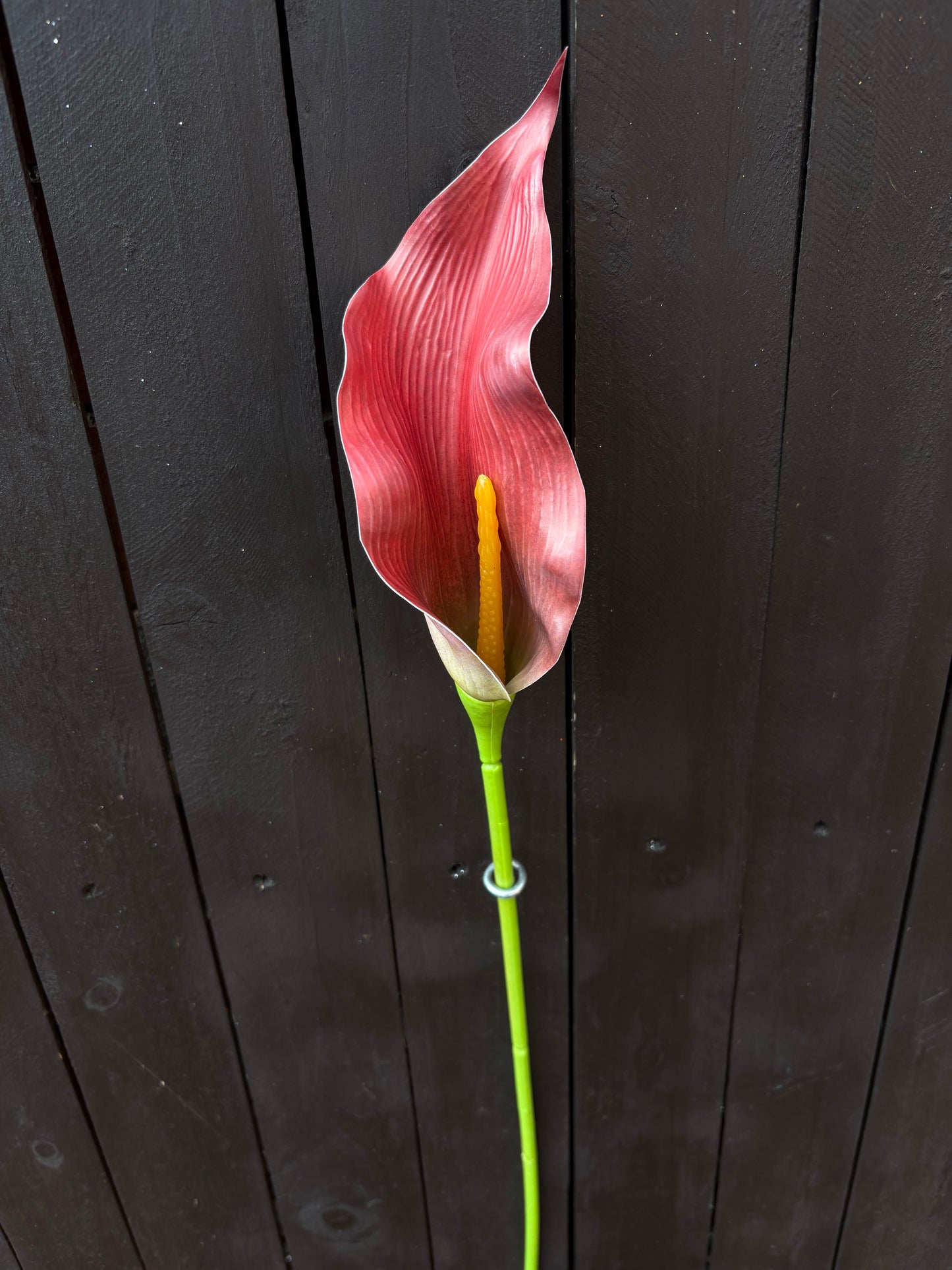 78cm SINGLE CALLA LILY STEM RED