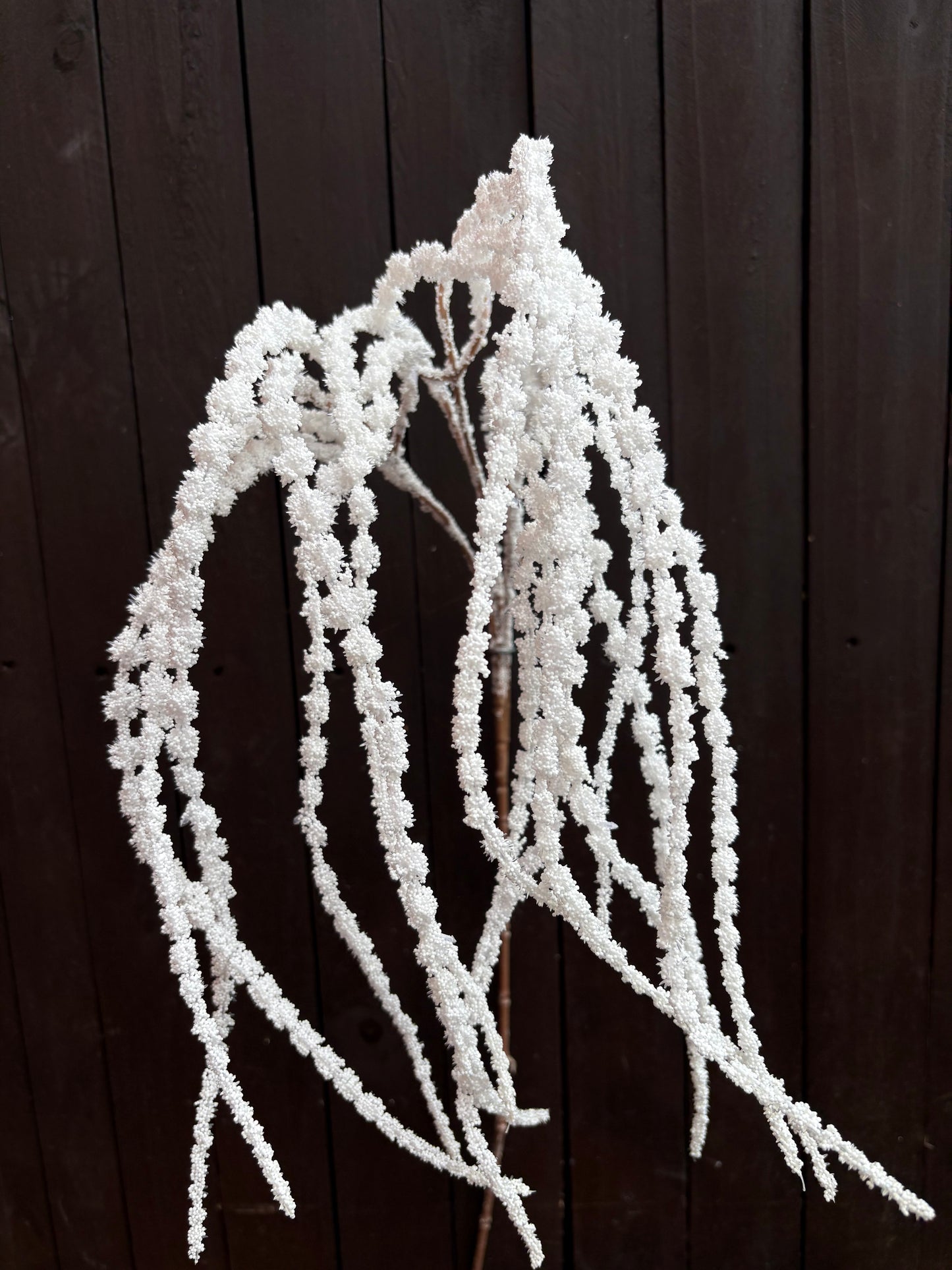 SEEDED AMARANTHUS WHITE