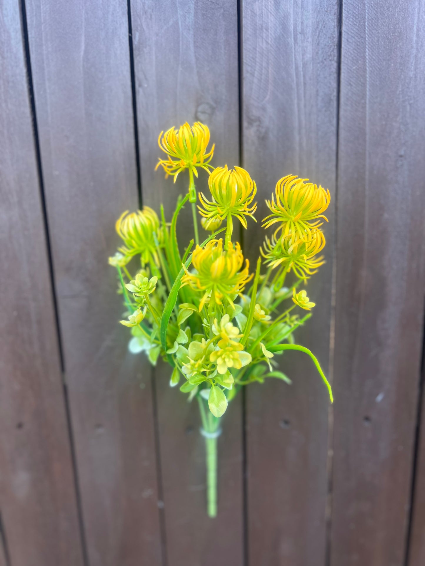 SPIKEY SUCCULENT ORANGE