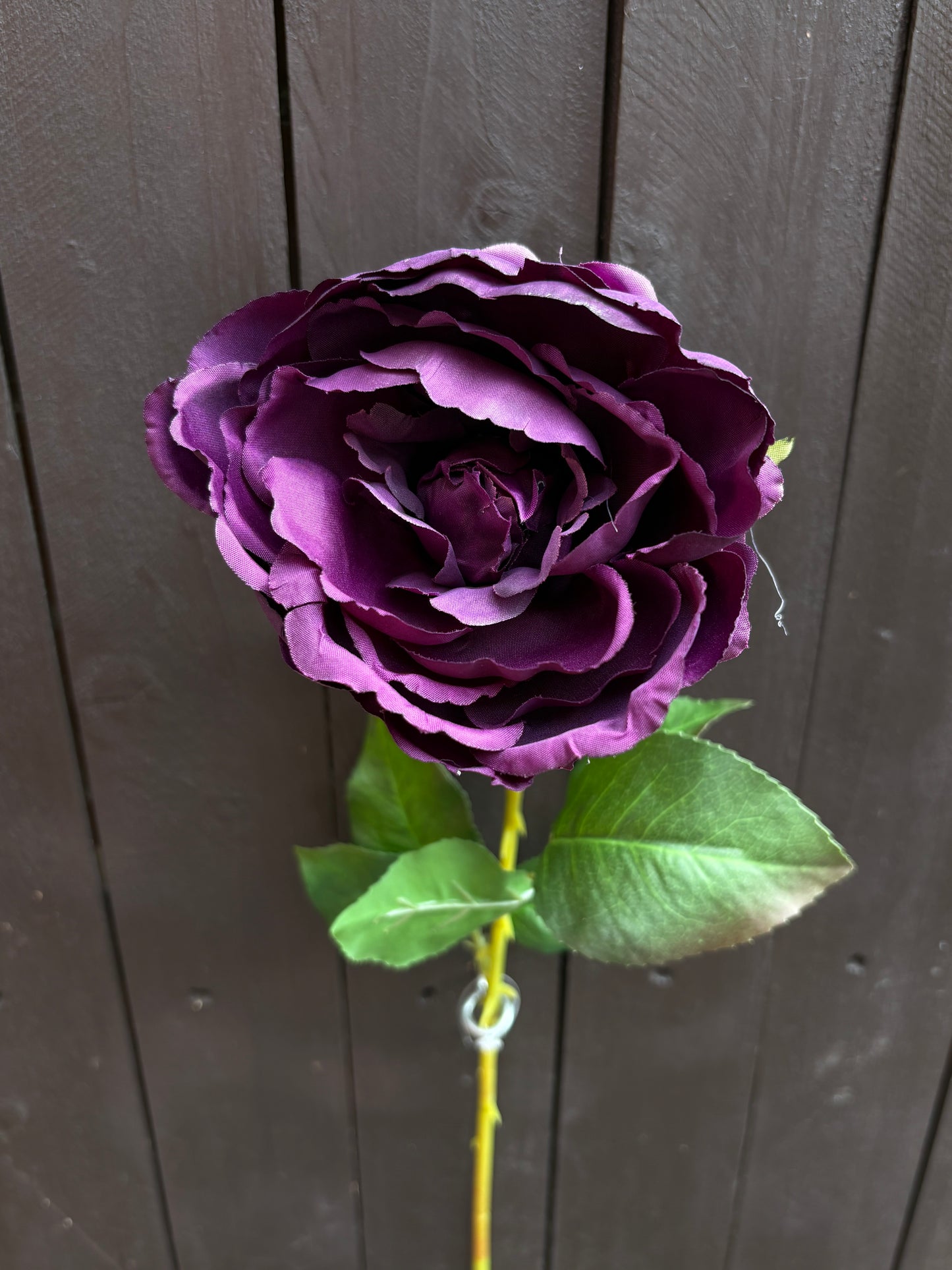64cm SINGLE LOLA PEONY STEM PURPLE