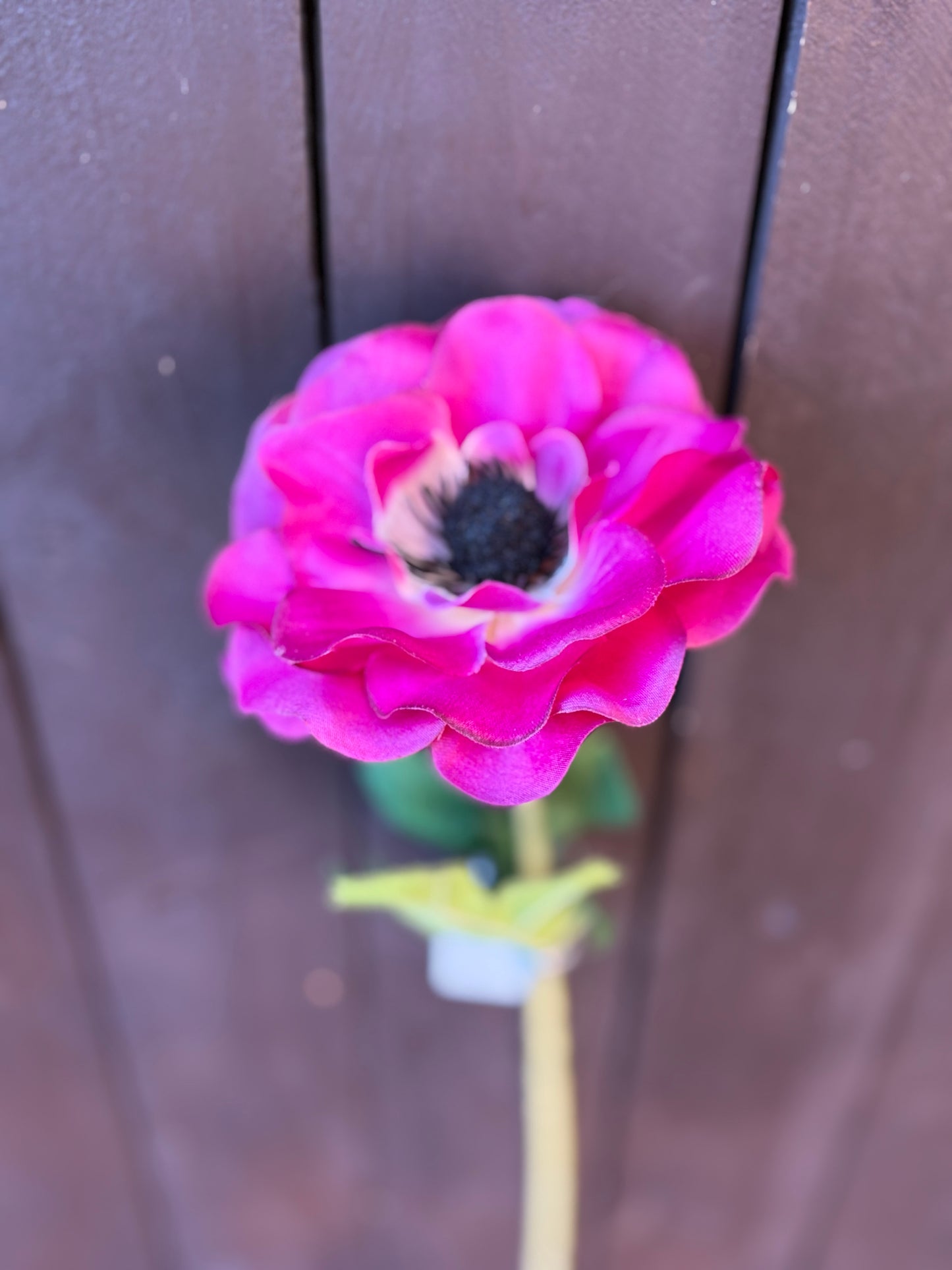 50cm SINGLE ANEMONE CERISE