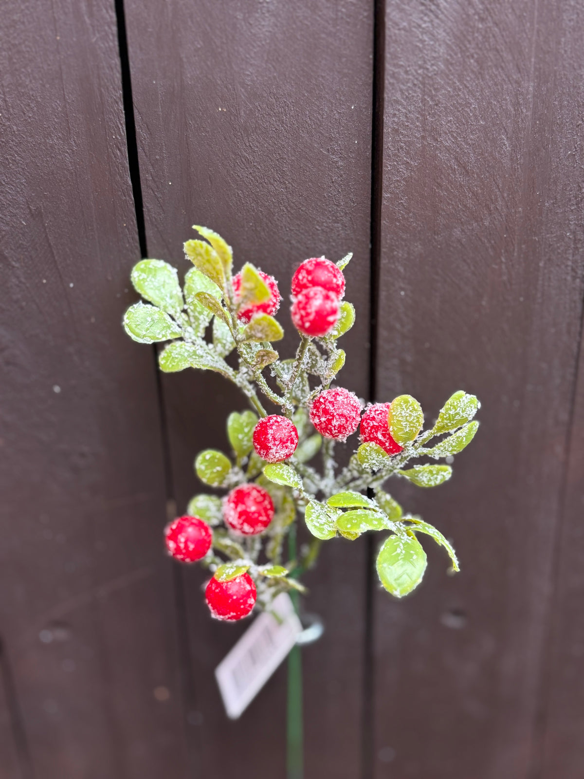 36cm FROSTED BERRY PICK RED
