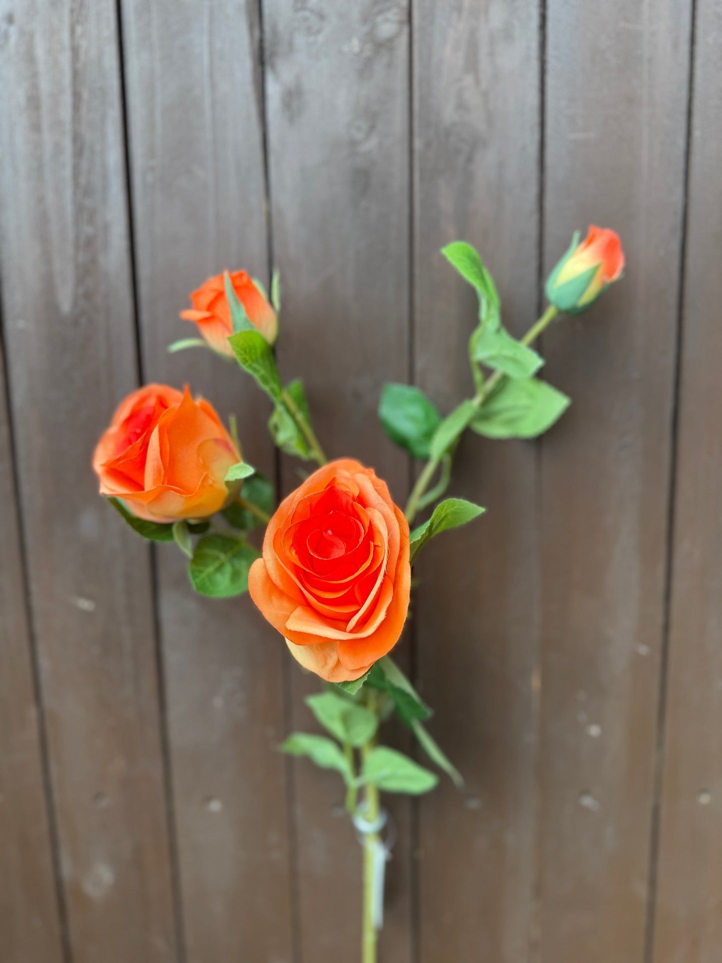 68cm MULTI ROSE SPRAY ORANGE