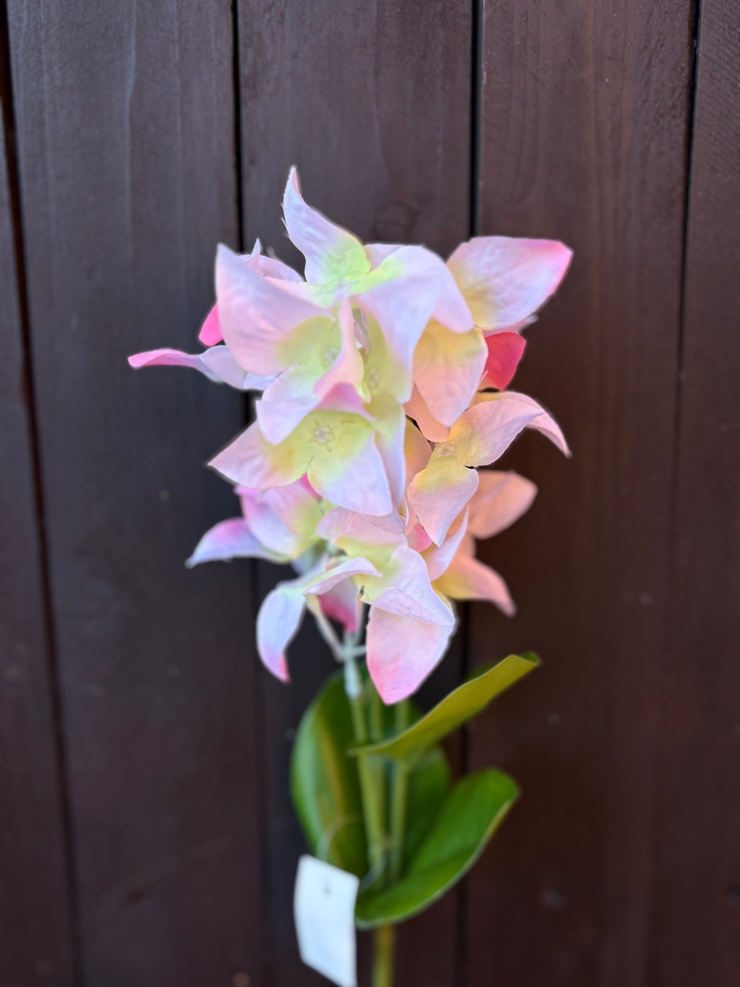 SILK YARA SPRAY GREEN/PINK