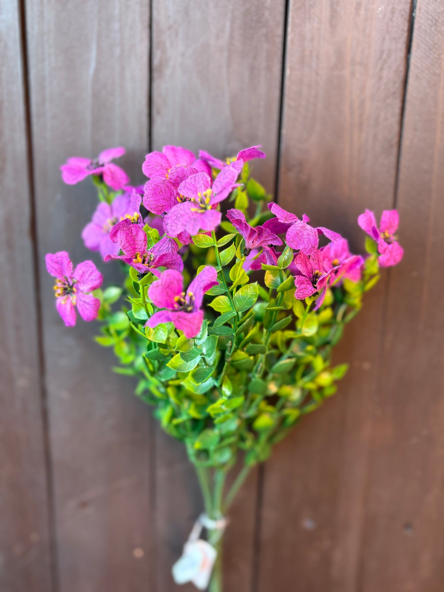 PRETTY PANSY BUNCH PURPLE