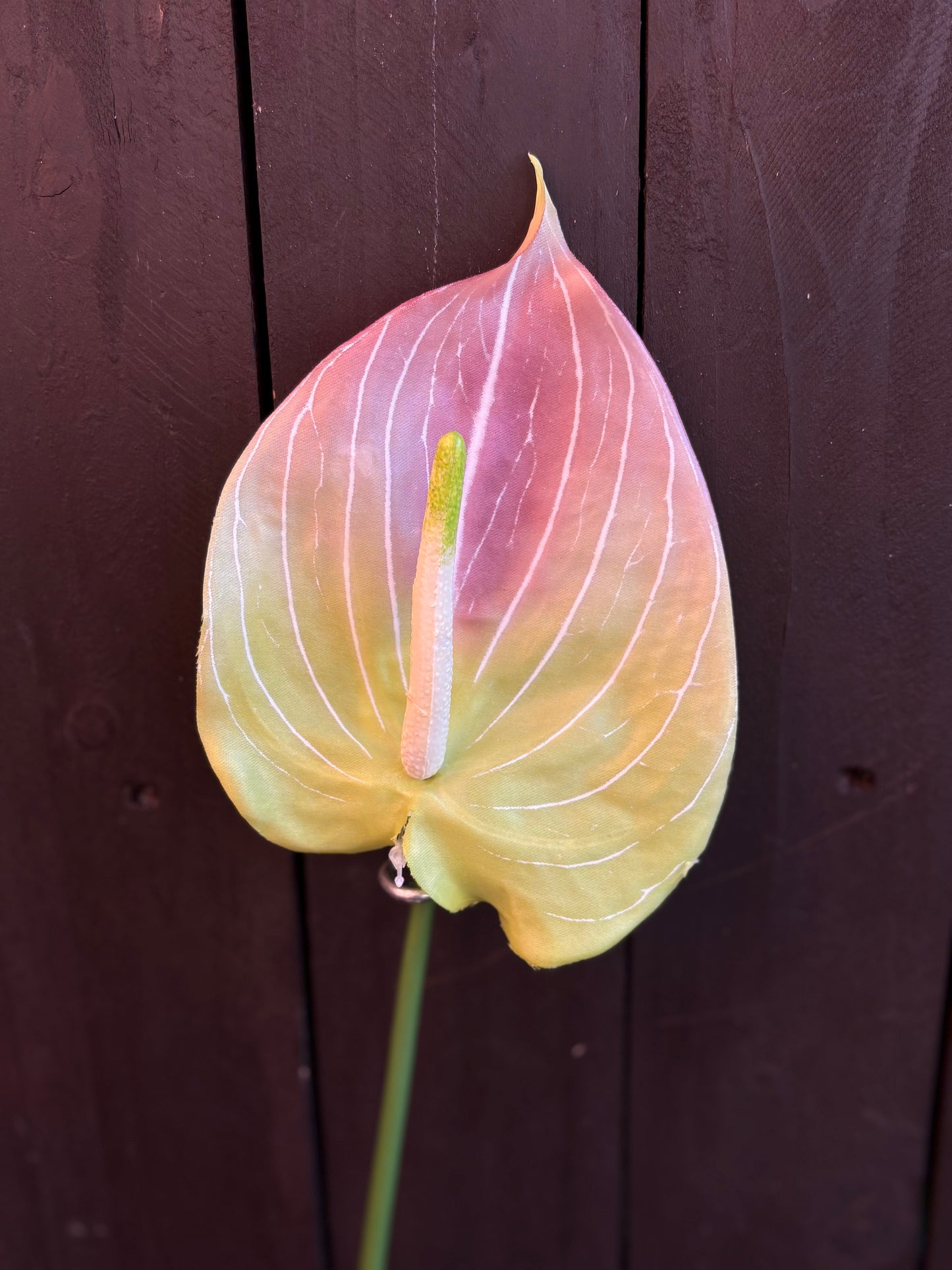 PLASTIC ANTHURIUM LEAF STEM GREEN/PINK
