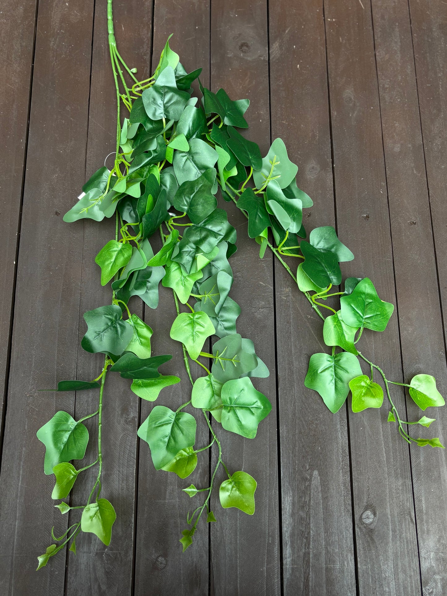 TRIPLE TRAILING IVY GREEN