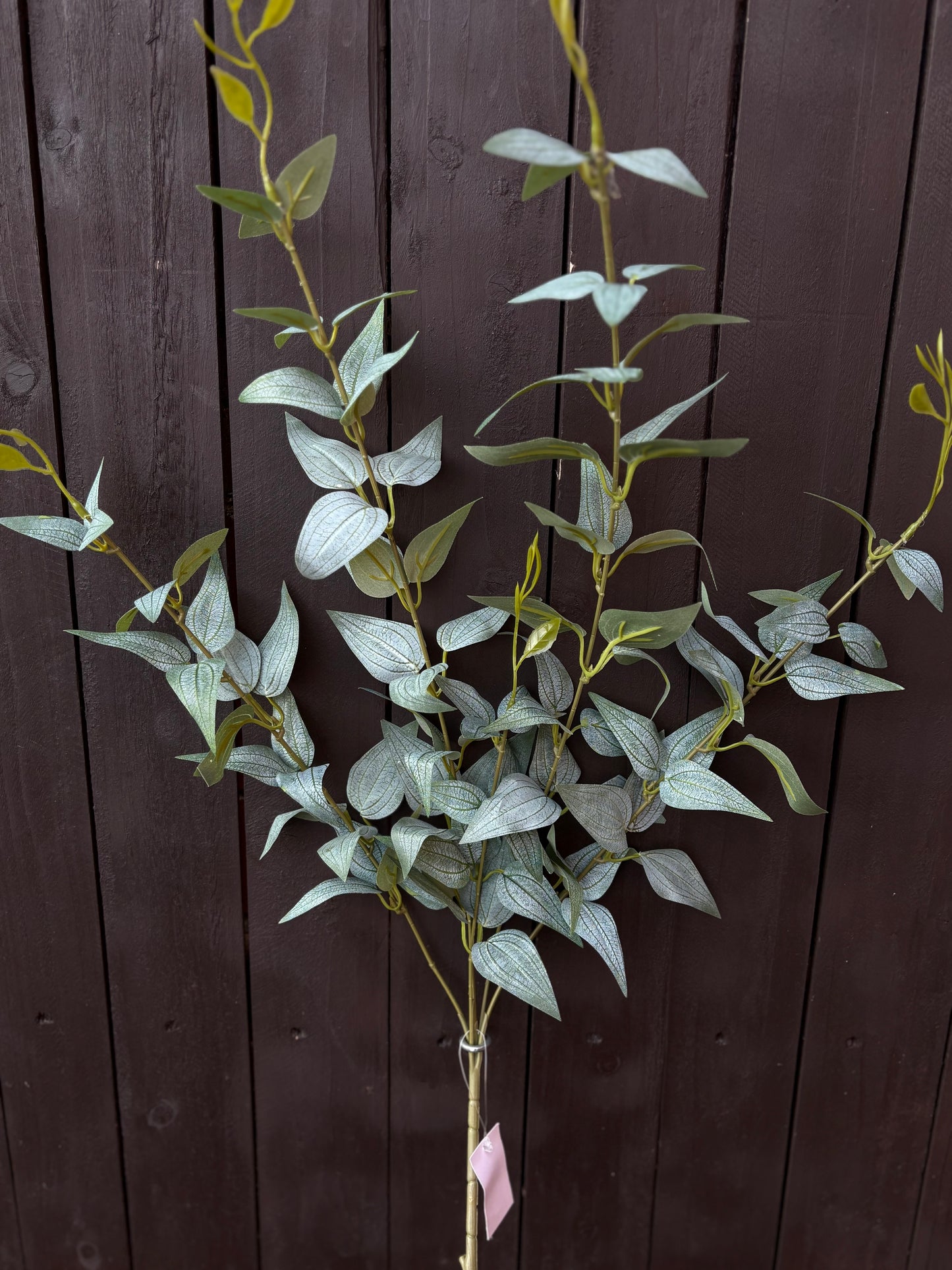 89cm ITALIAN RUSCUS FOLIAGE SPRAY GREY/GREEN