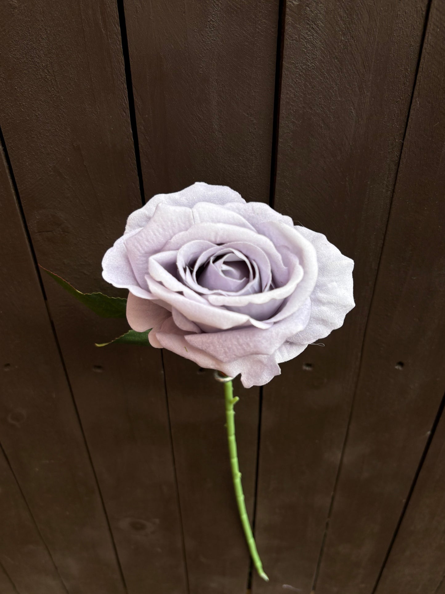 52CM SINGLE LARGE VELVET TOUCH OPEN ROSE GREY