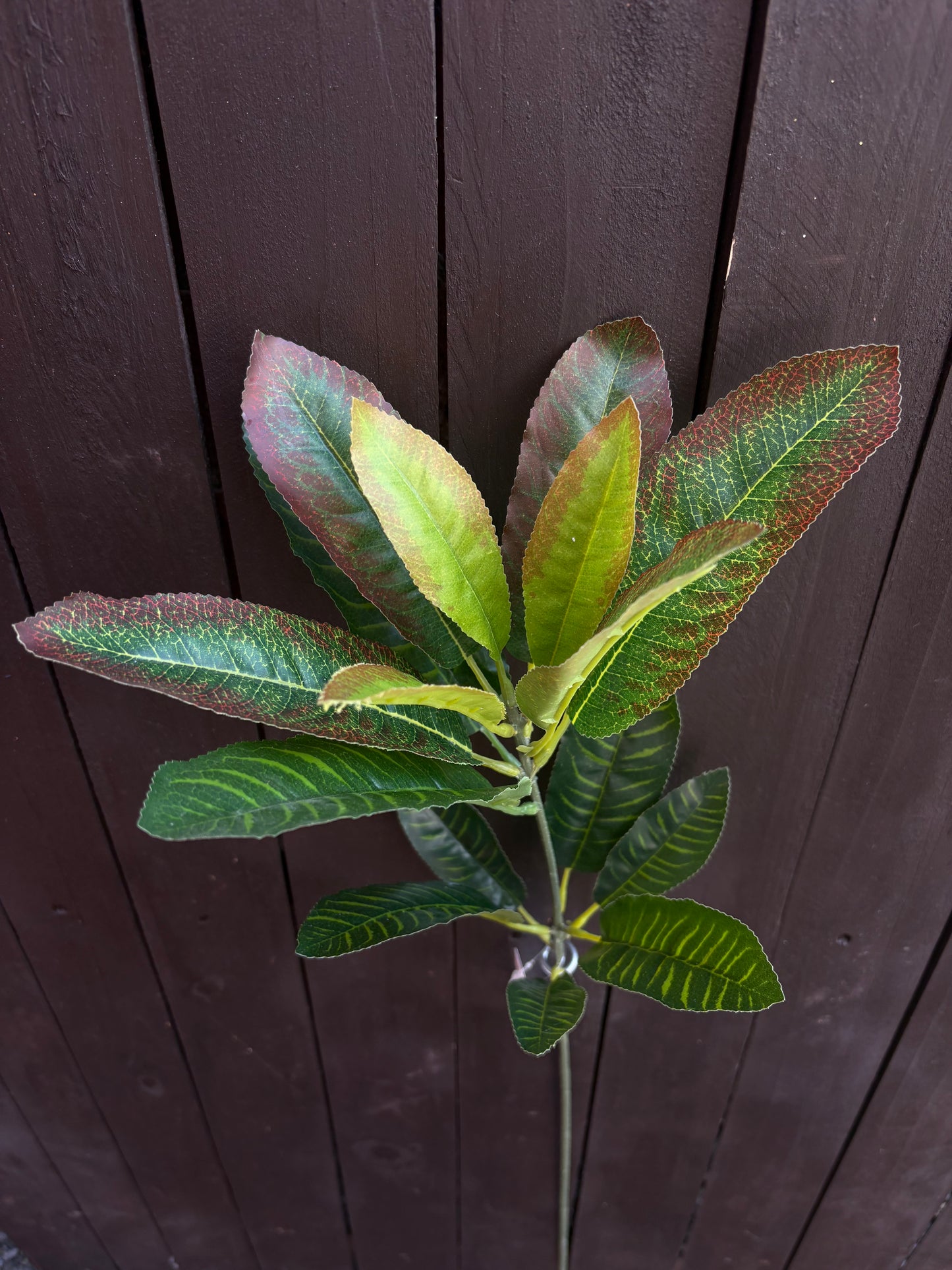 66cm TROPICAL LEAF STEM