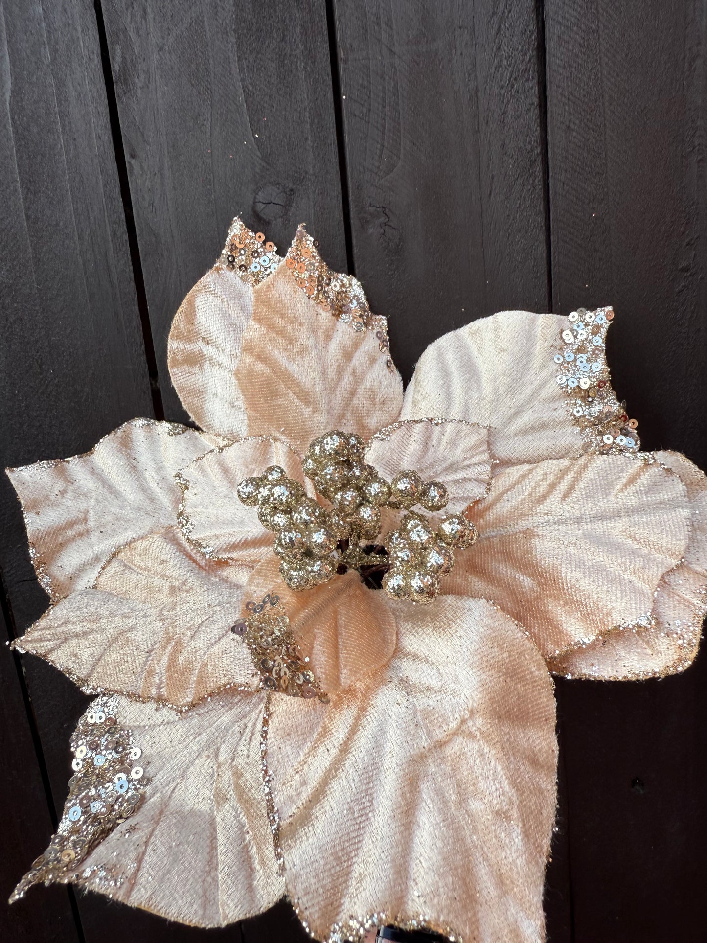 22cm CLIP VELVET POINSETTIA CHAMPAGNE