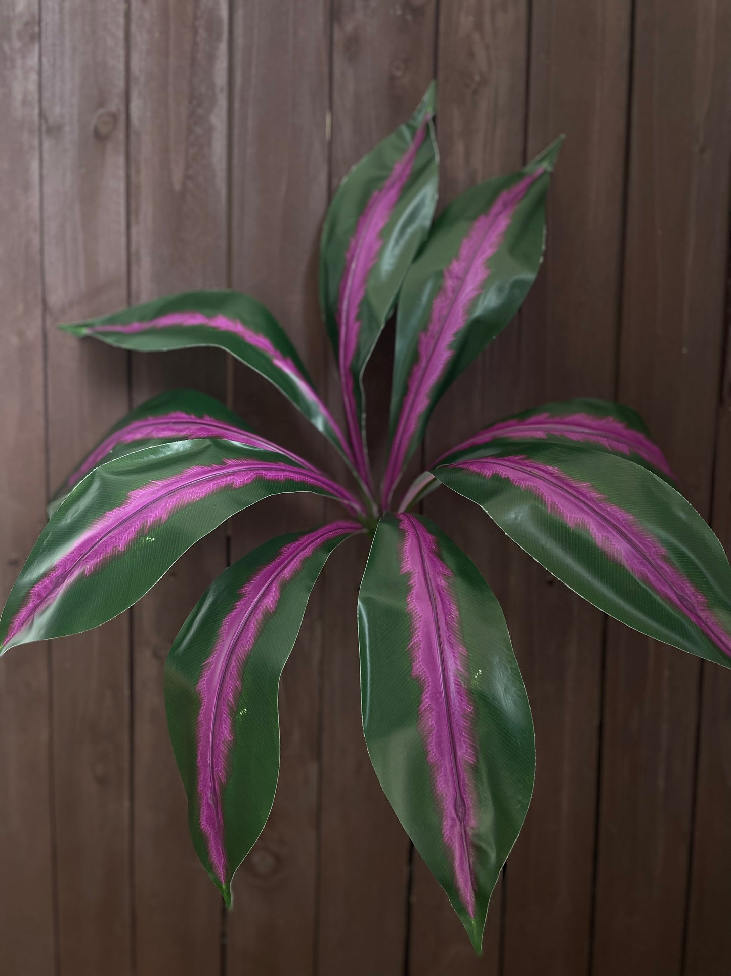 GIANT PLANTER LEAF PURPLE STRIPE
