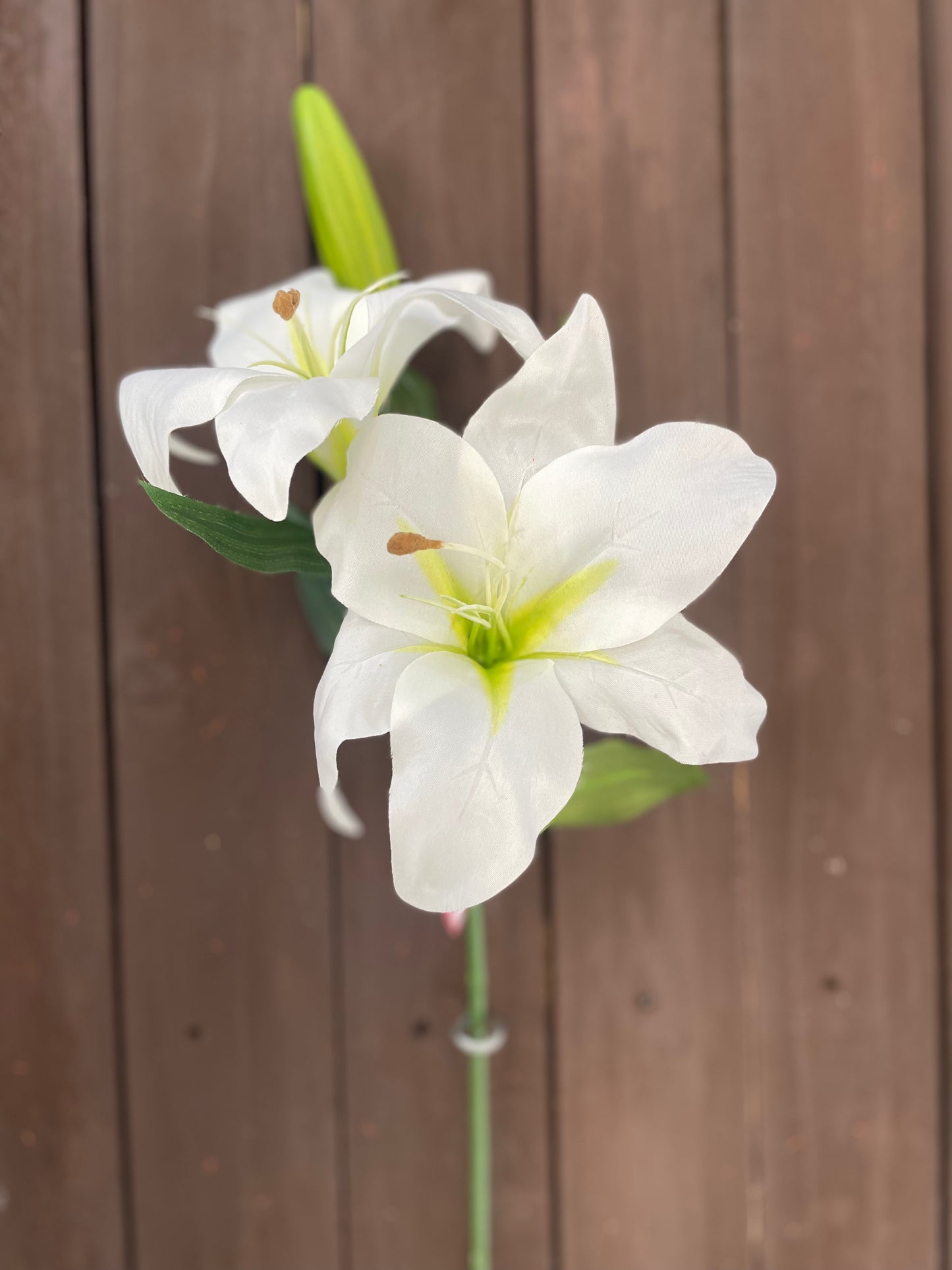 66cm CHLOE LILY SPRAY IVORY