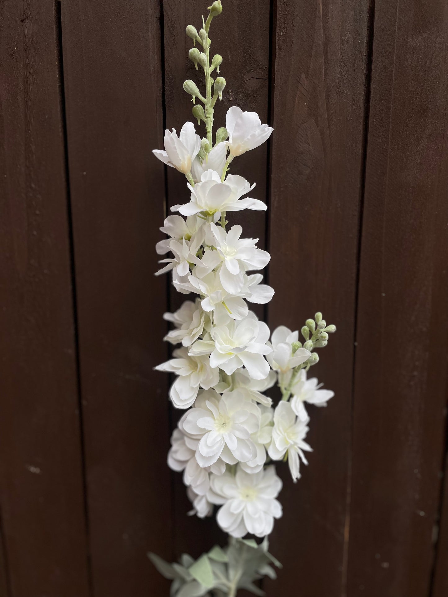 DELPHINIUM STEM IVORY