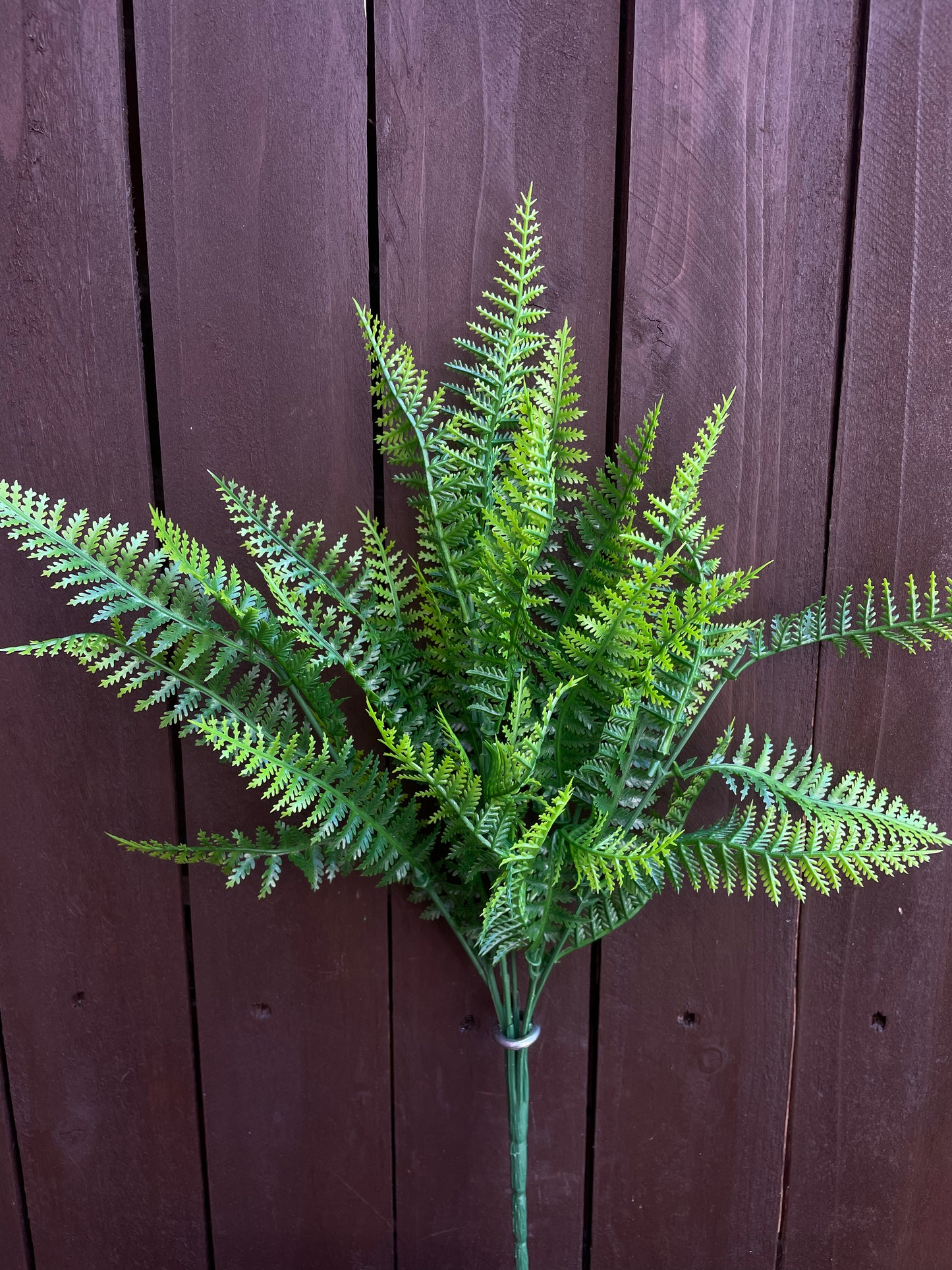 BUDGET TWO TONE FERN LEAF