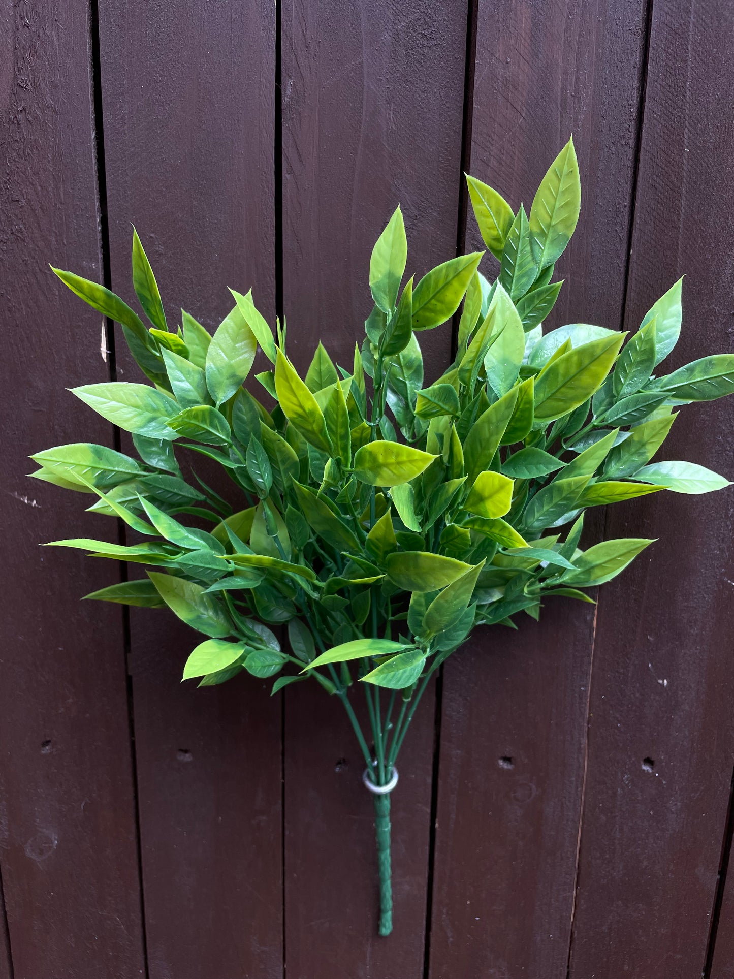 BUDGET THICK LEAF GRASS BUSH