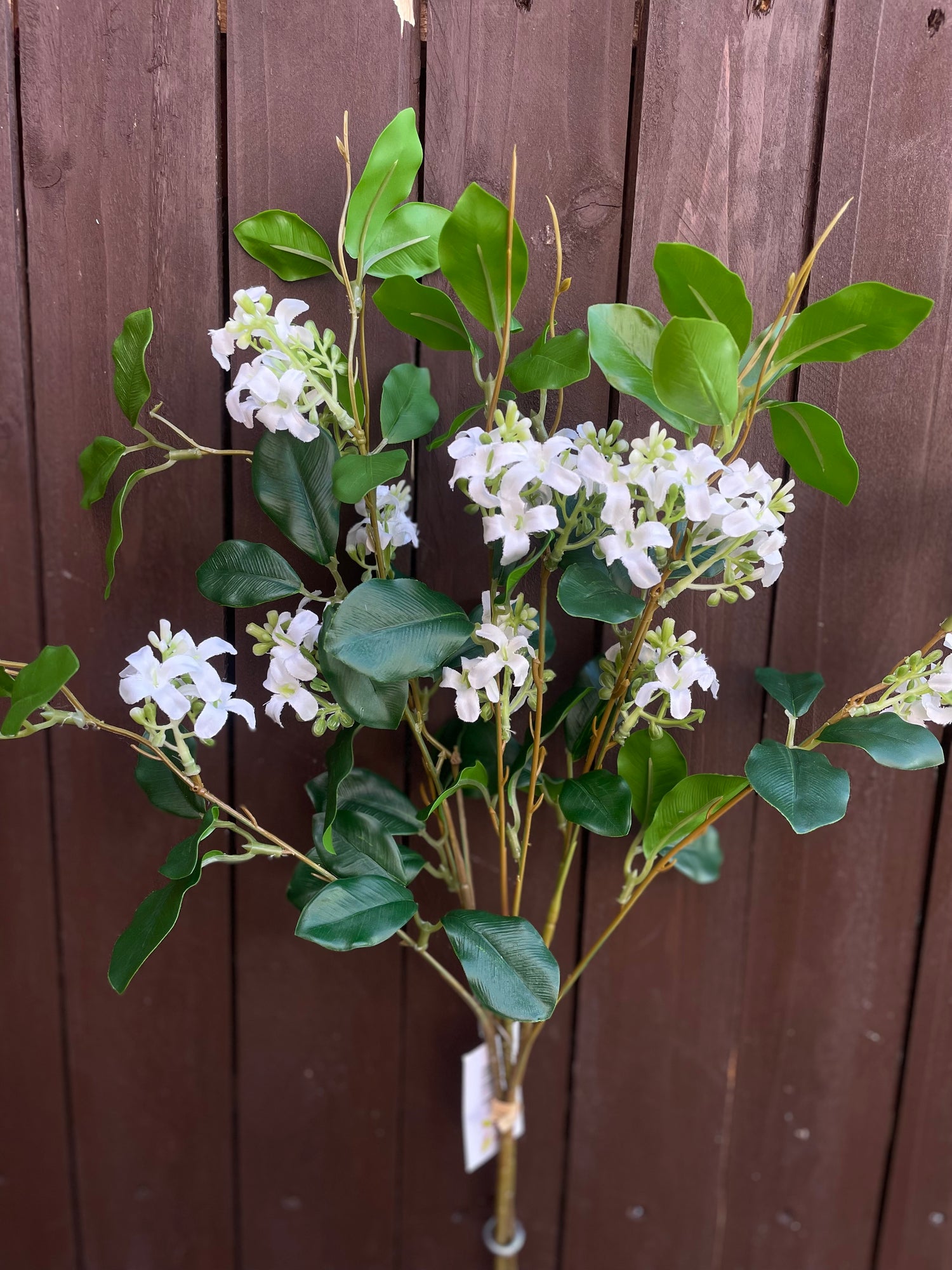 BLOSSOM