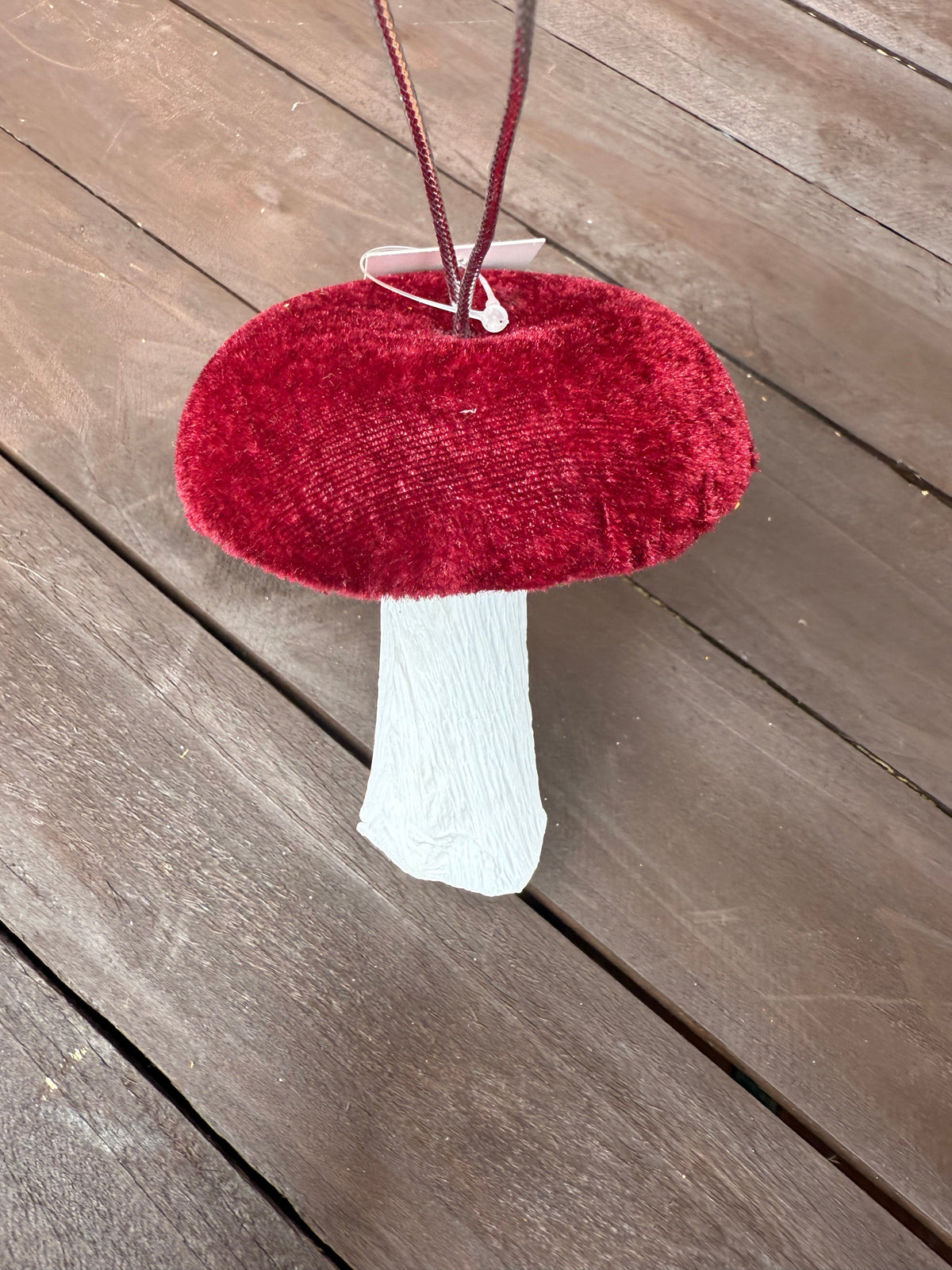 MUSHROOMS
