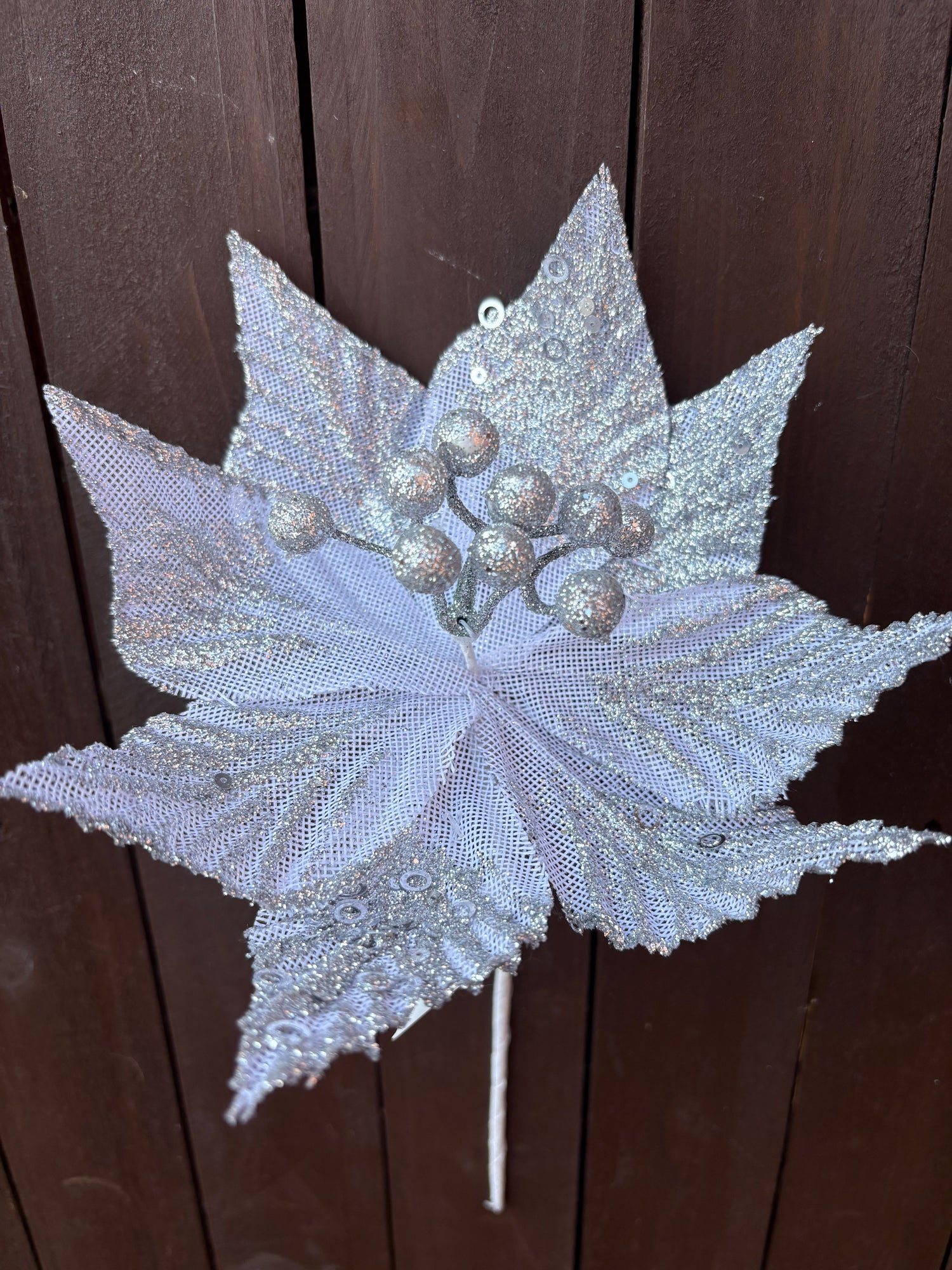 POINSETTIA