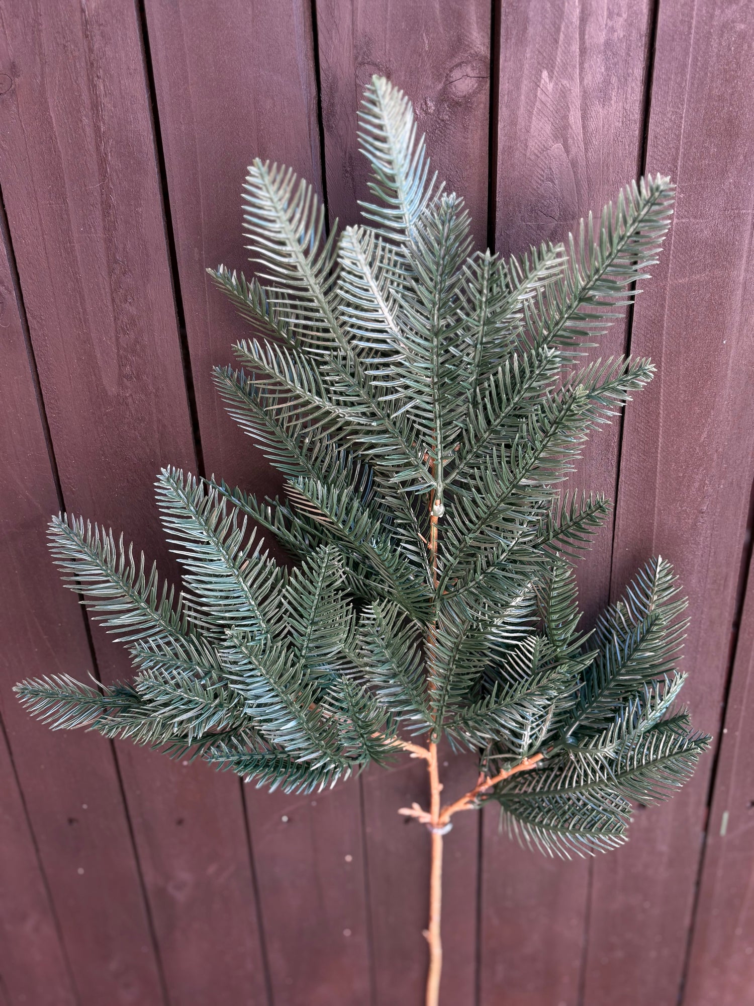PINE