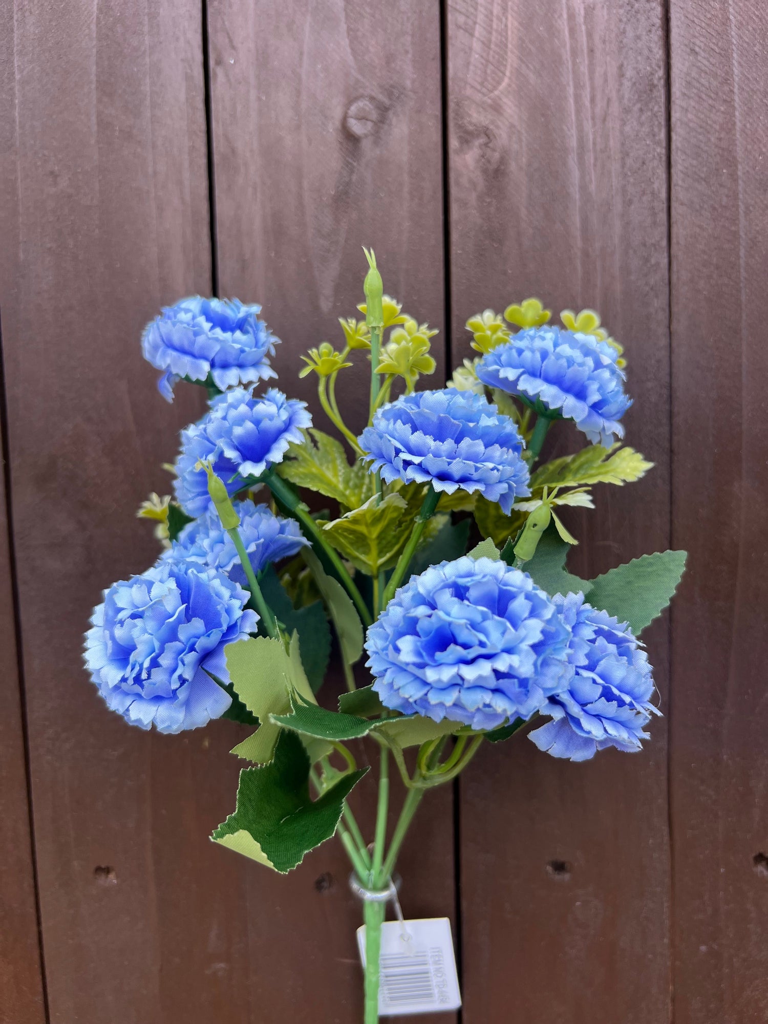 CARNATIONS