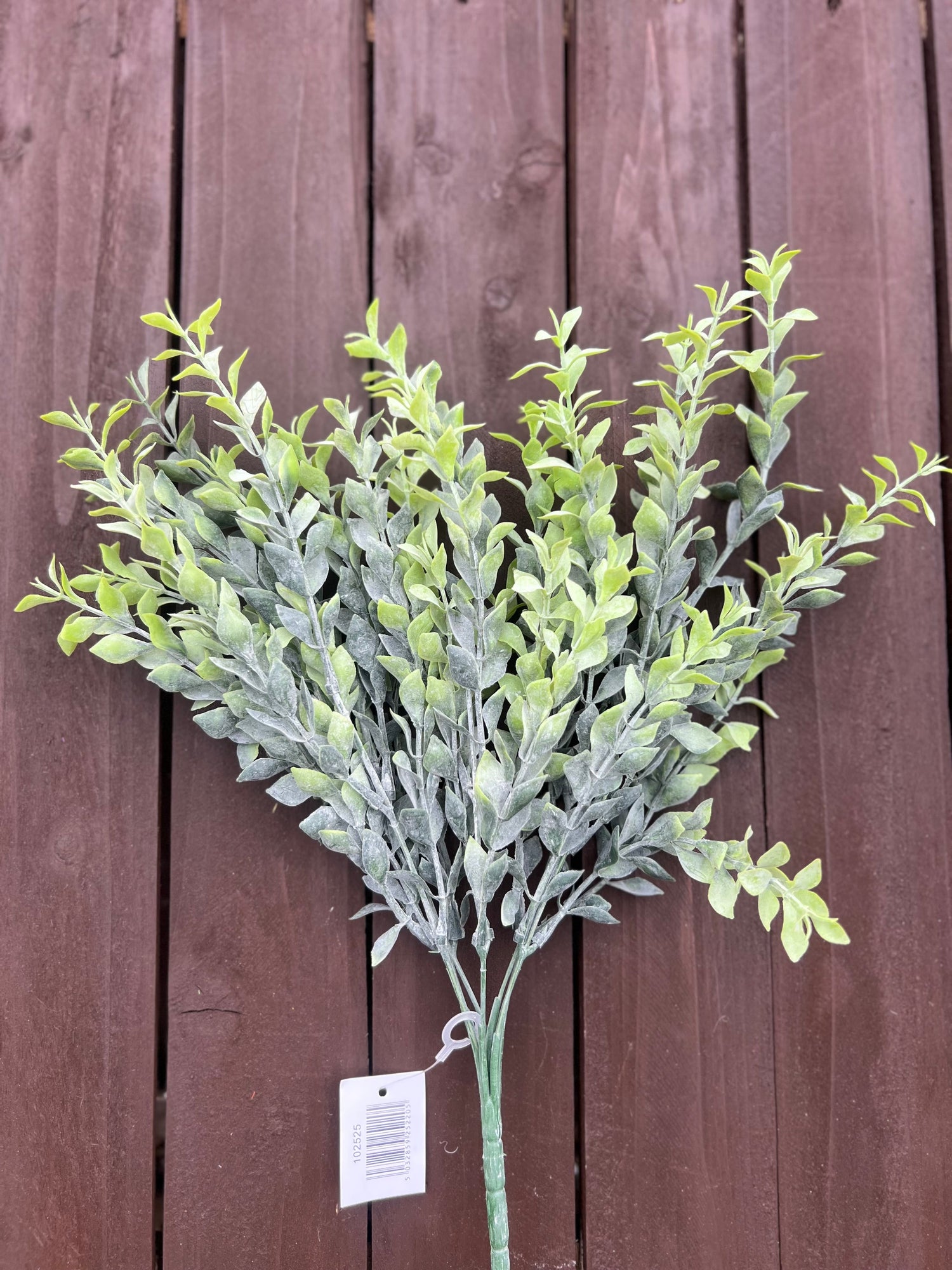 FOLIAGE SINGLE STEMS