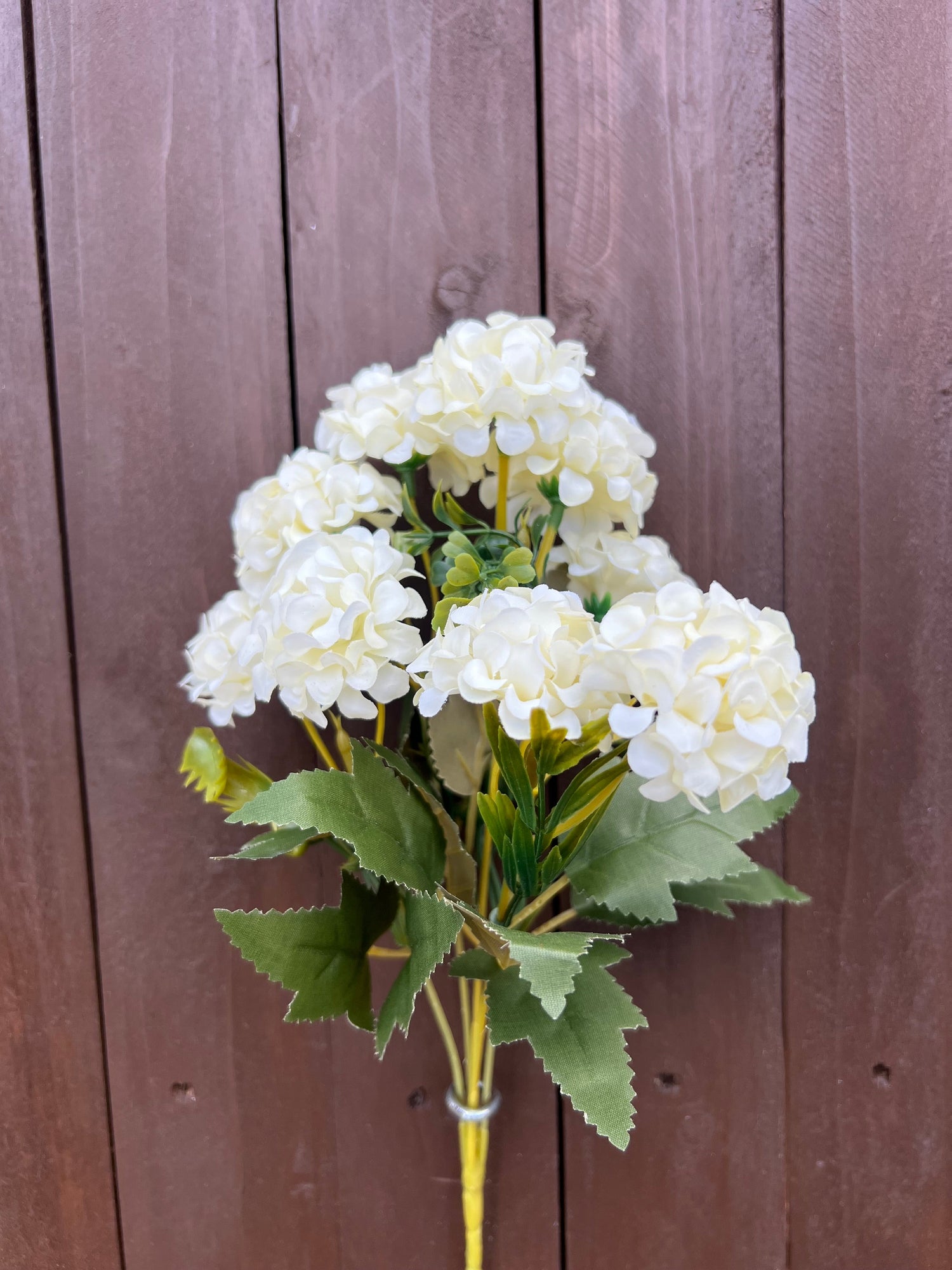 MUM BUSHES