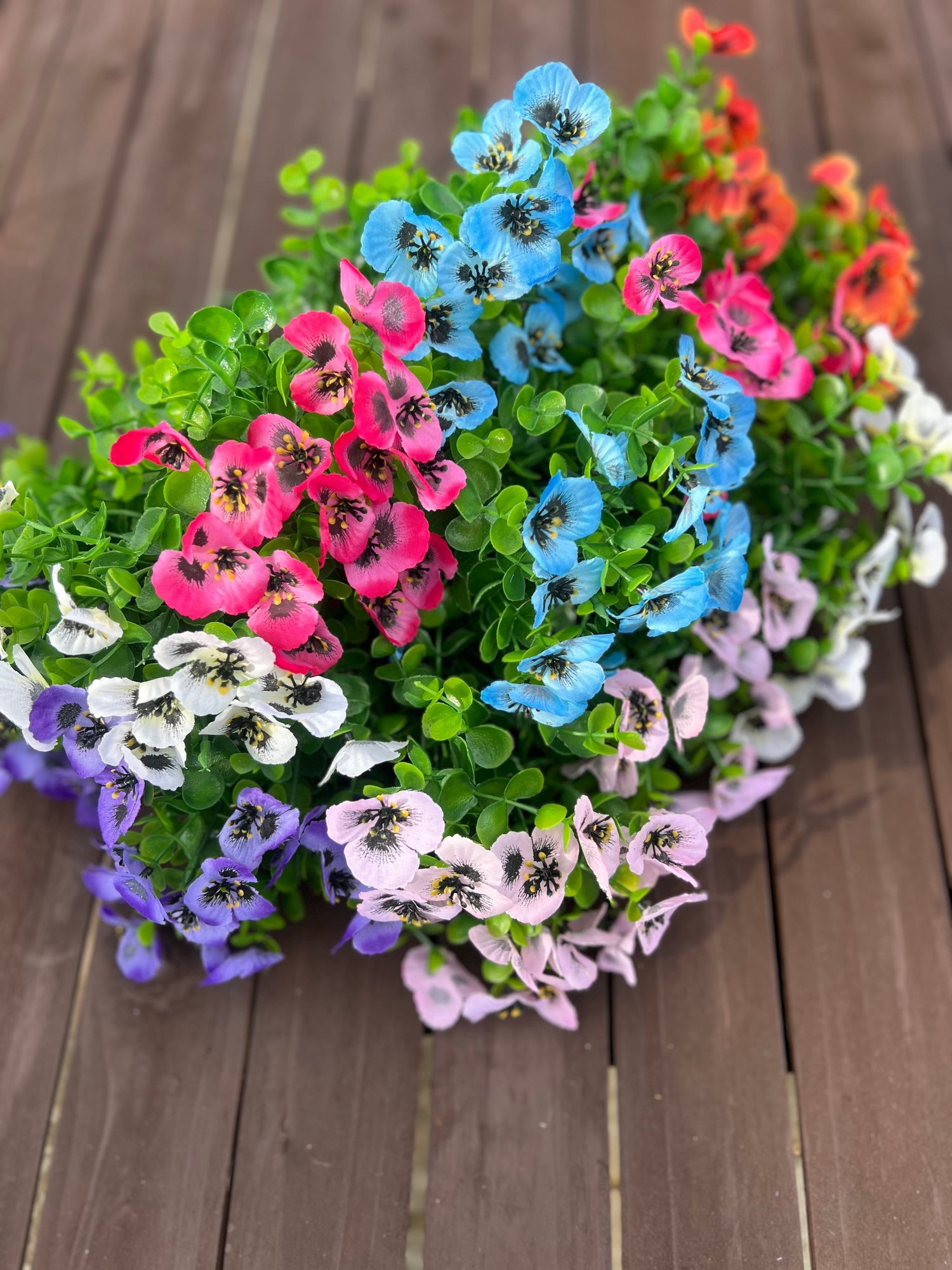 PANSY