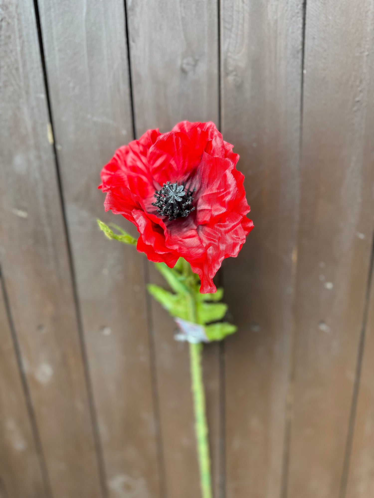 POPPY