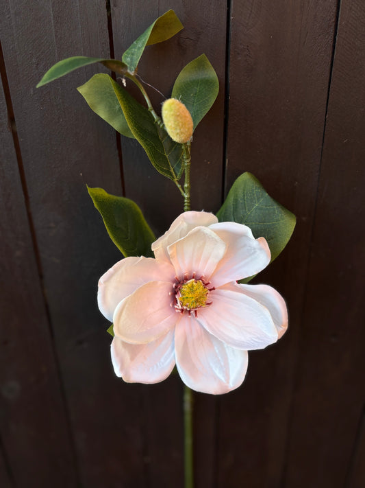 65cm SINGLE MAGNOLIA CREAM