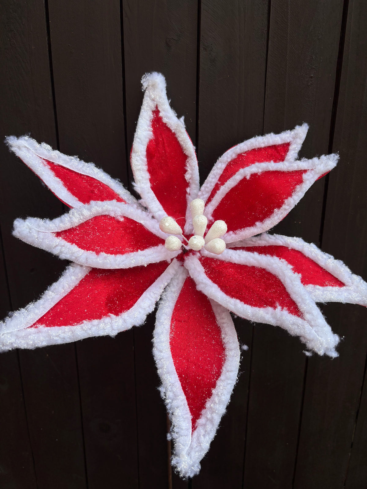 FUR EDGE POINSETTA STEM RED/WHITE