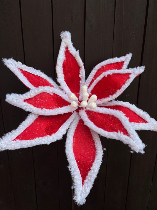FUR EDGE POINSETTA STEM RED/WHITE