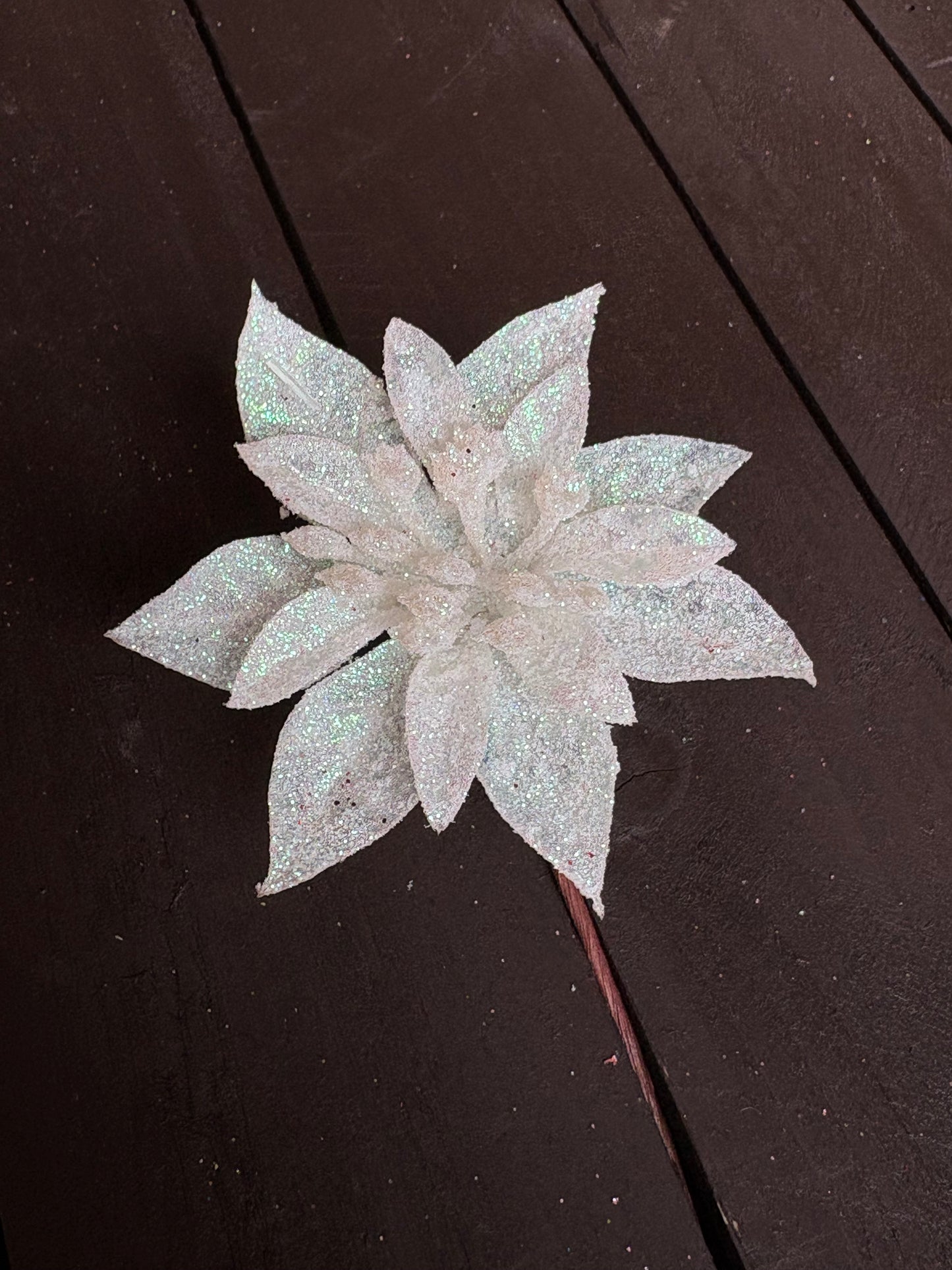 ASSORTED BAG 12cm SINGLE POINSETTIA x 14pcs